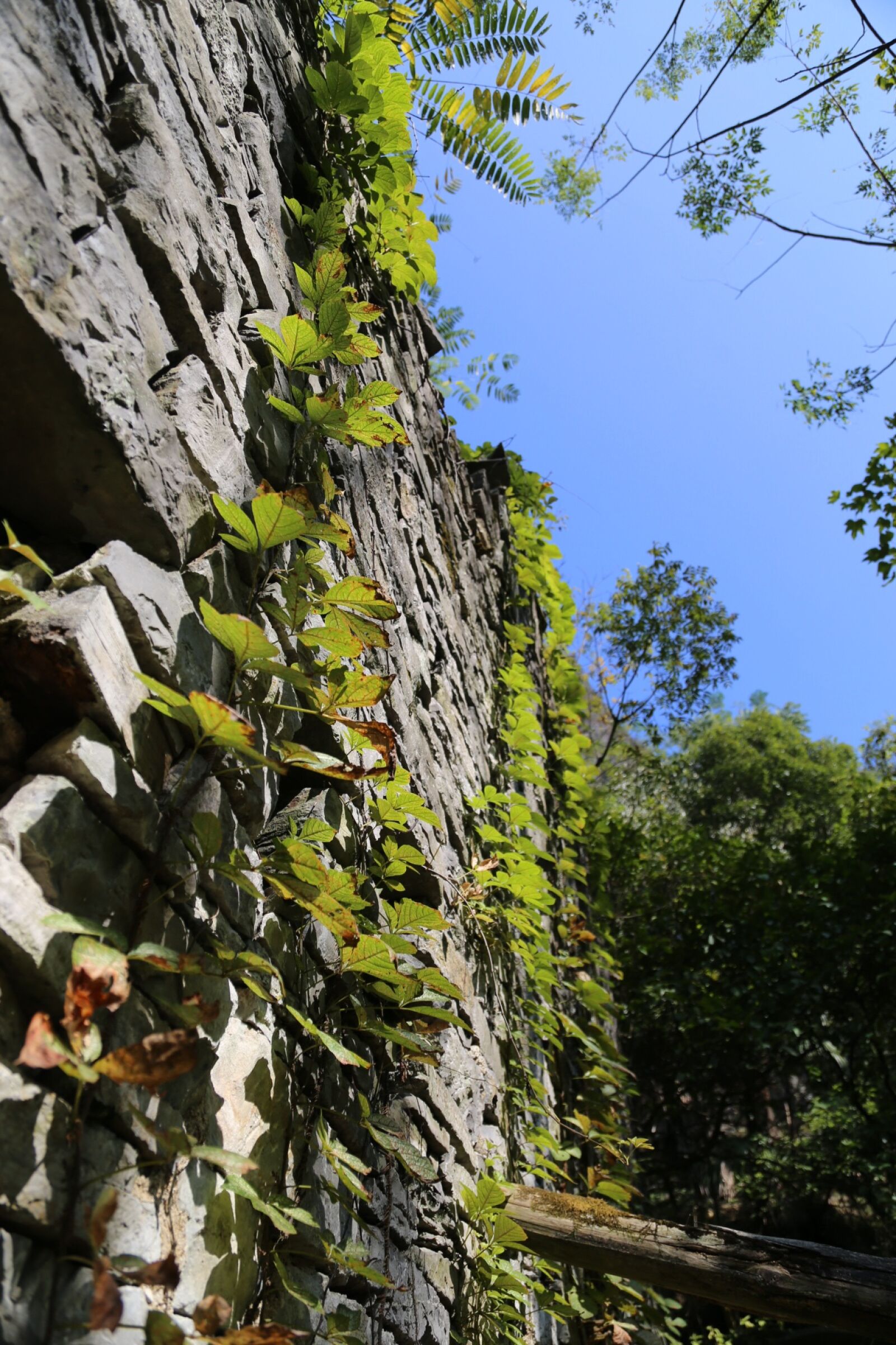 Canon EOS 6D + Canon EF 24-105mm F4L IS USM sample photo. Yangshuo, stone, climbing photography