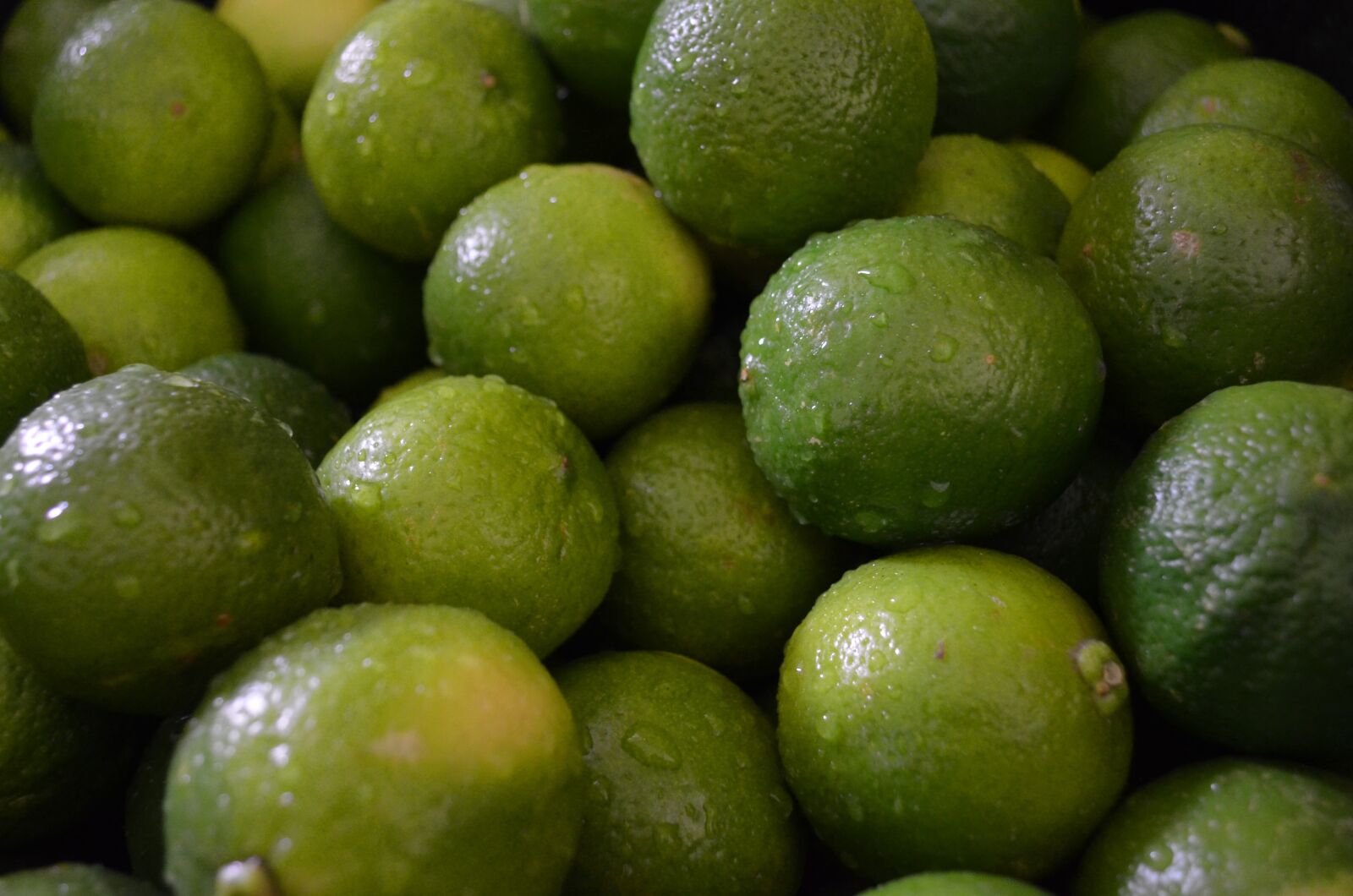 Nikon D5100 sample photo. Lime, caipirinha, caipi photography