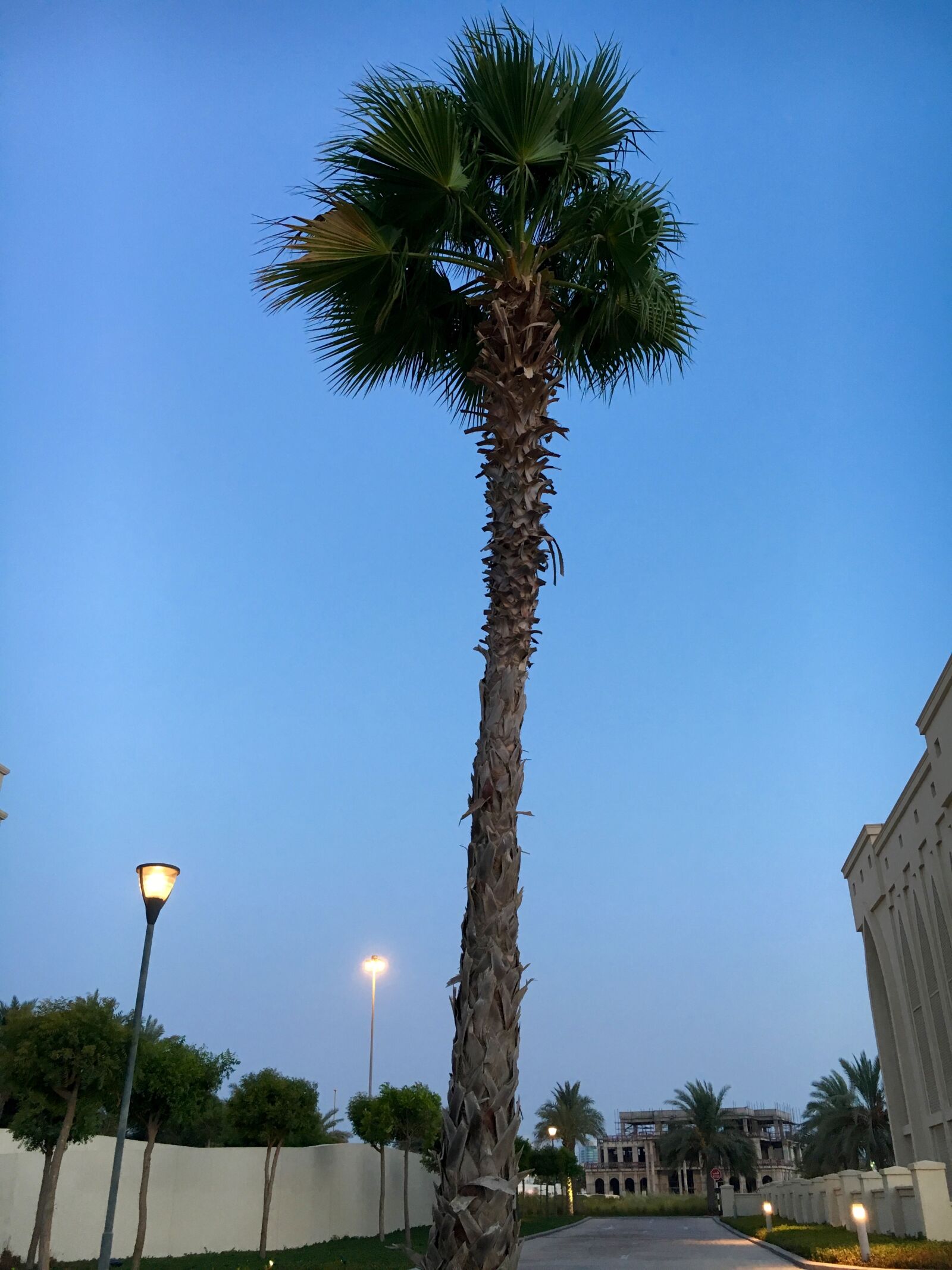 Apple iPhone 6s sample photo