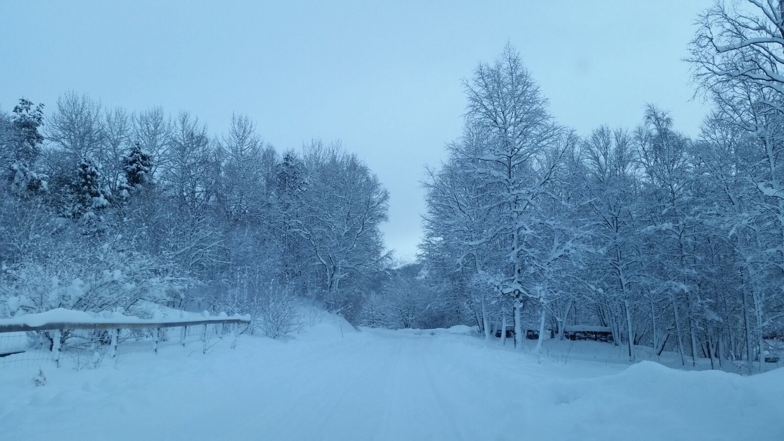 Samsung Galaxy S5 sample photo. Winter, winter landscapes, landscape photography