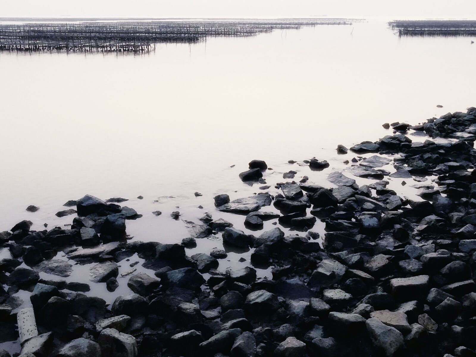 iPhone X back dual camera 4mm f/1.8 sample photo. Stone beach, water, cage photography