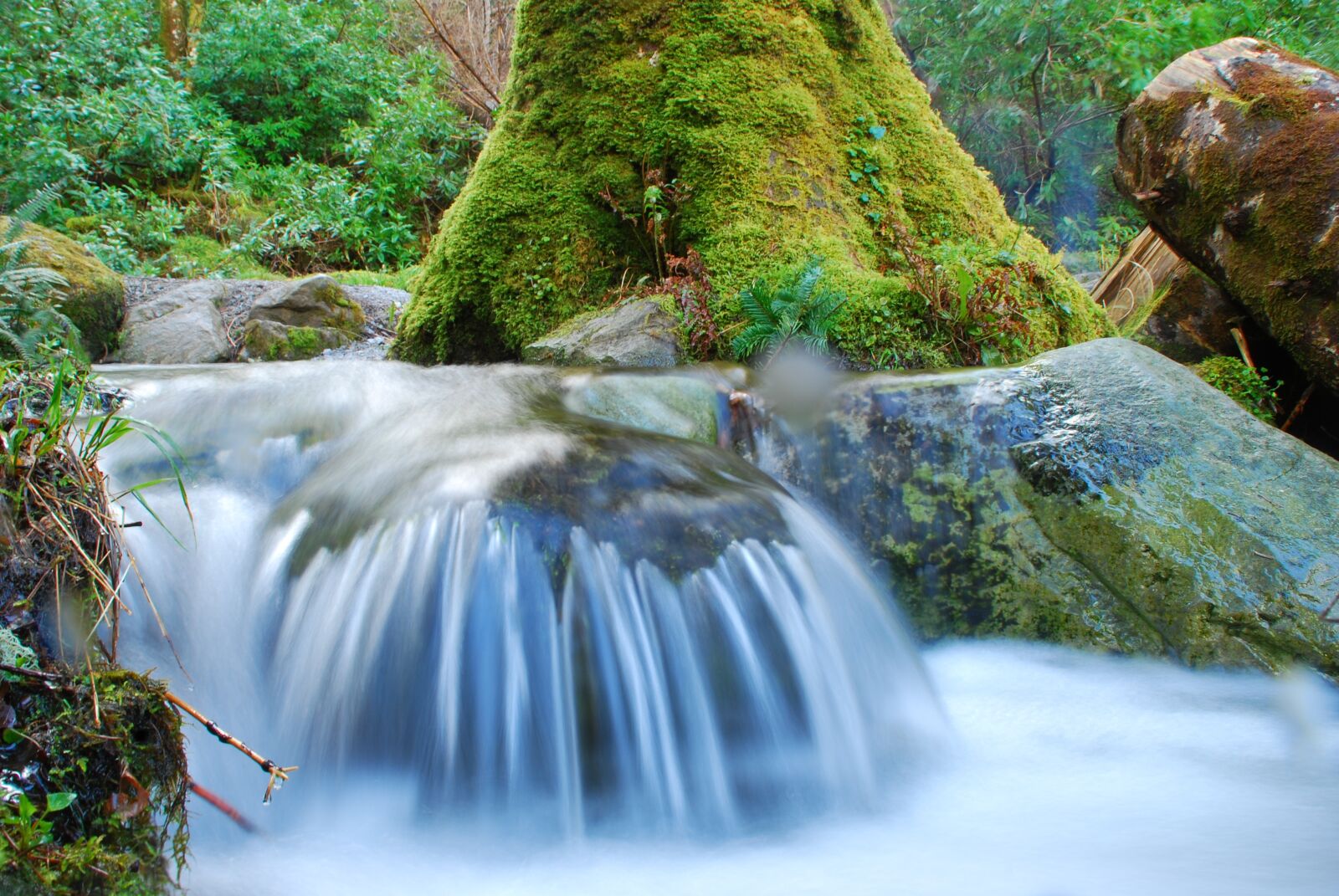 Nikon D80 sample photo. Waterfall, forest, bach photography