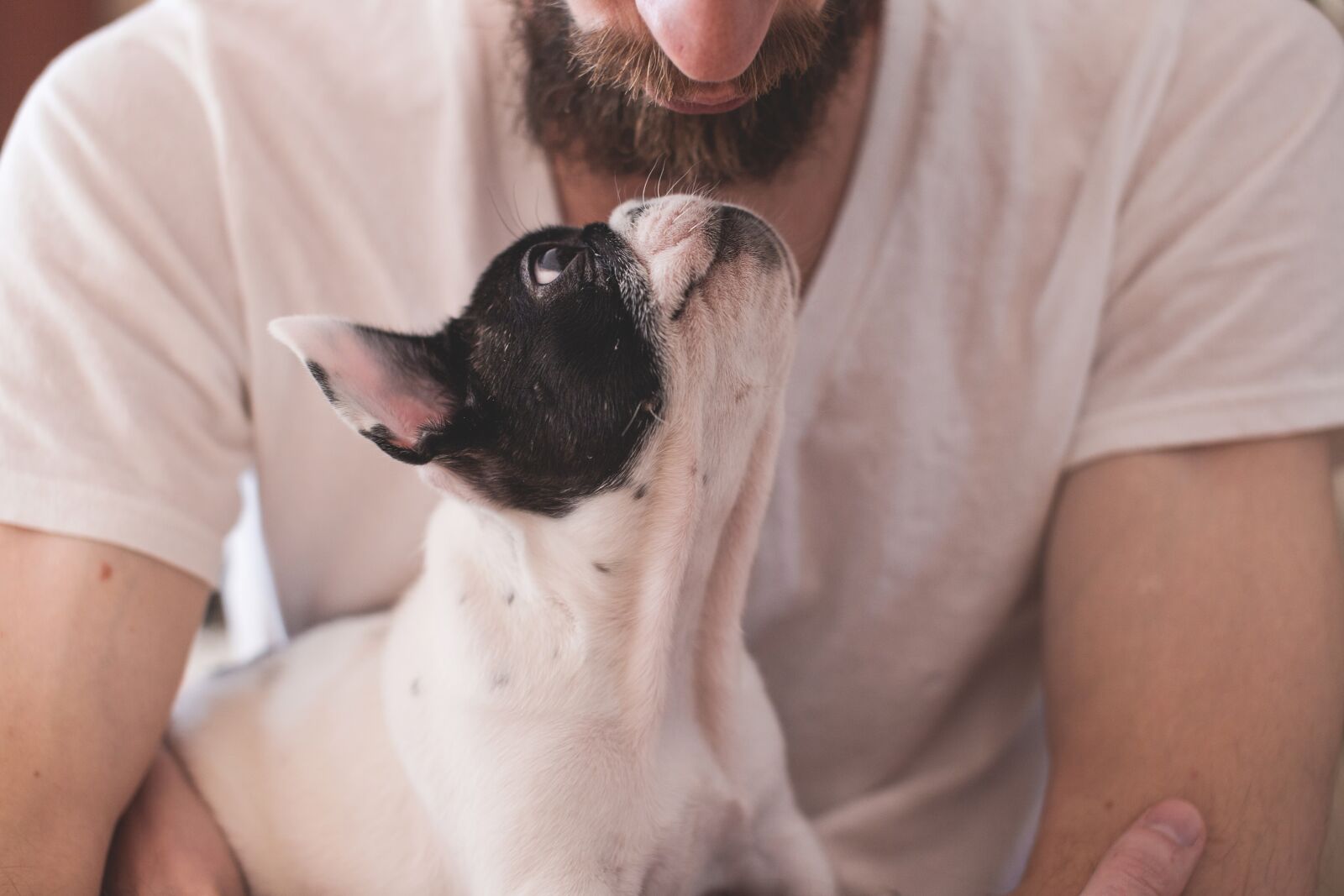 Canon EOS 6D sample photo. Animals, dogs, friendship photography