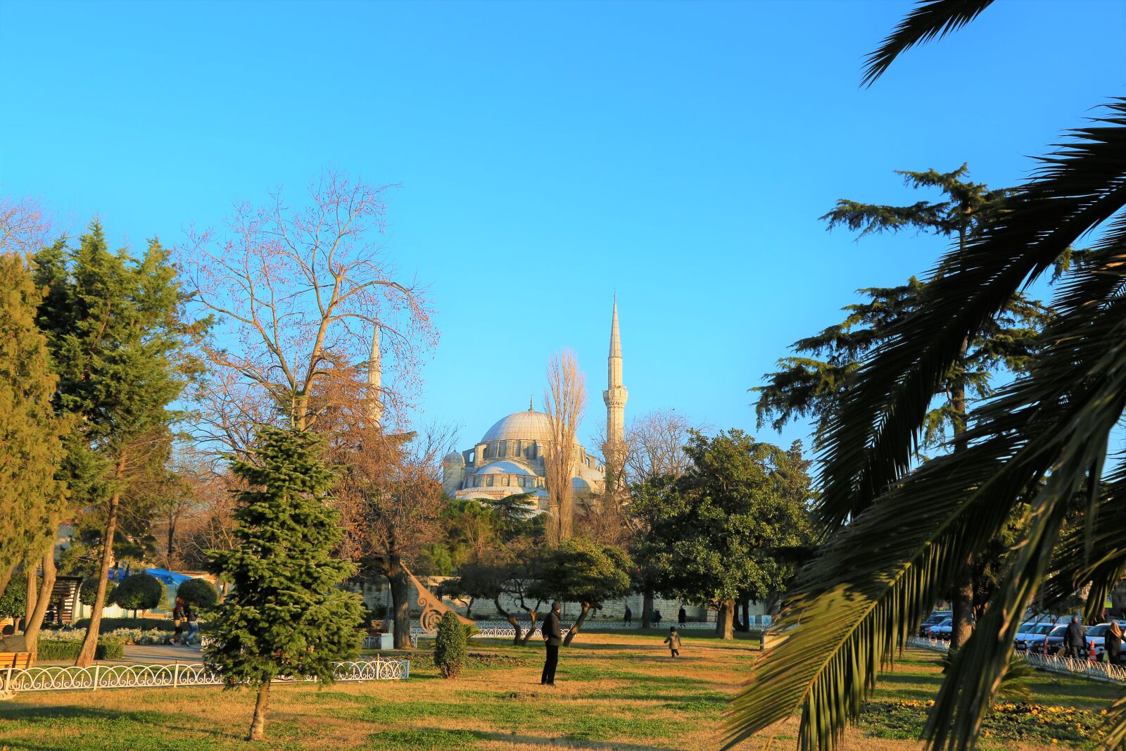 Canon EOS 5D Mark III sample photo. Cami, dome, minaret photography