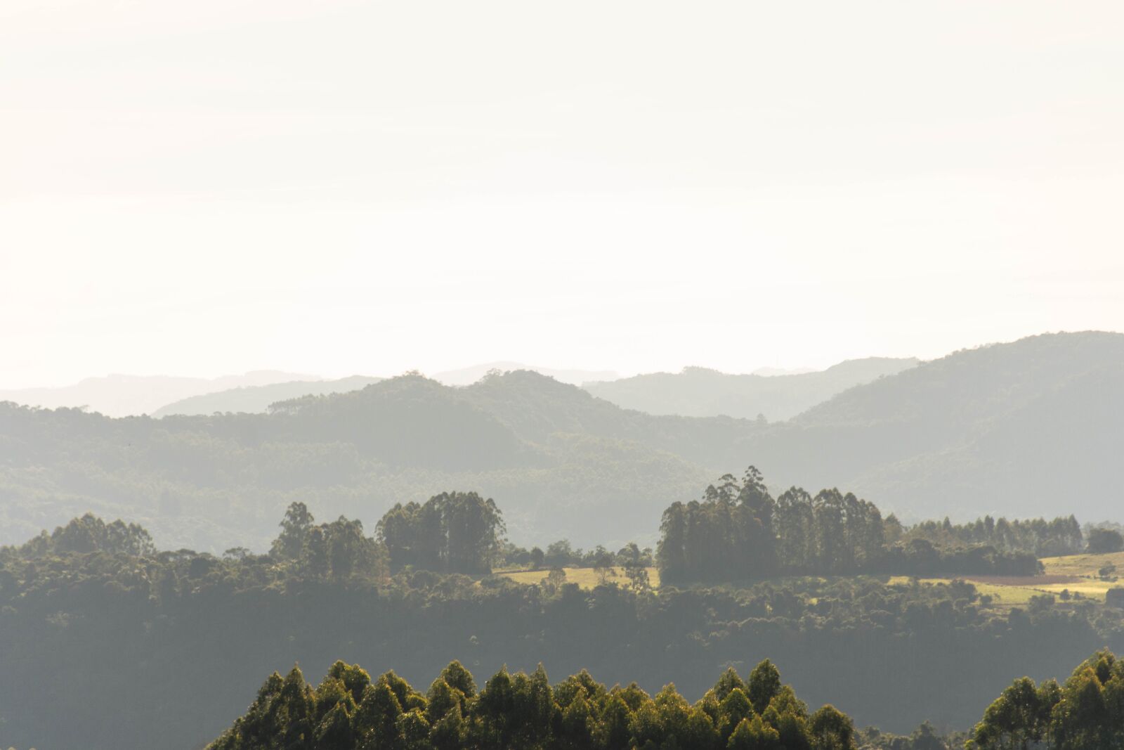 Nikon D7200 sample photo. Hills, tree, landscape photography