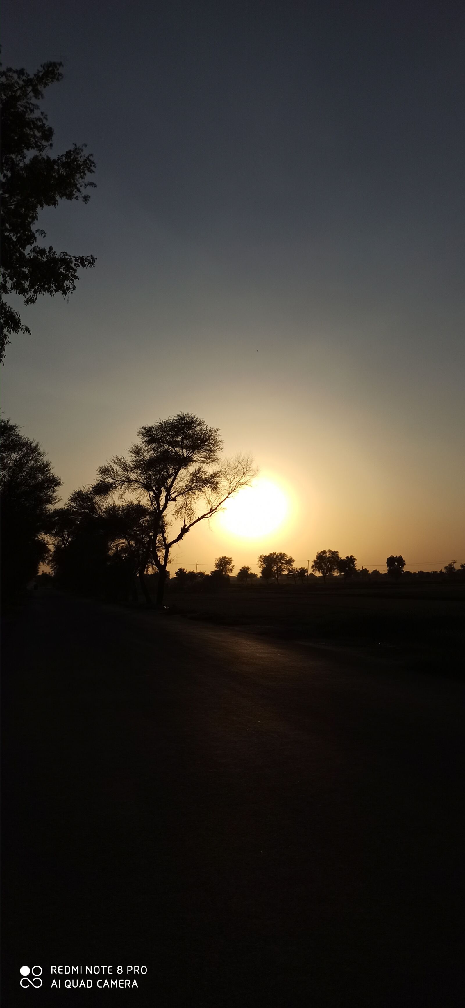 Xiaomi Redmi Note 8 Pro sample photo. Sunset, darkness, surrounded photography