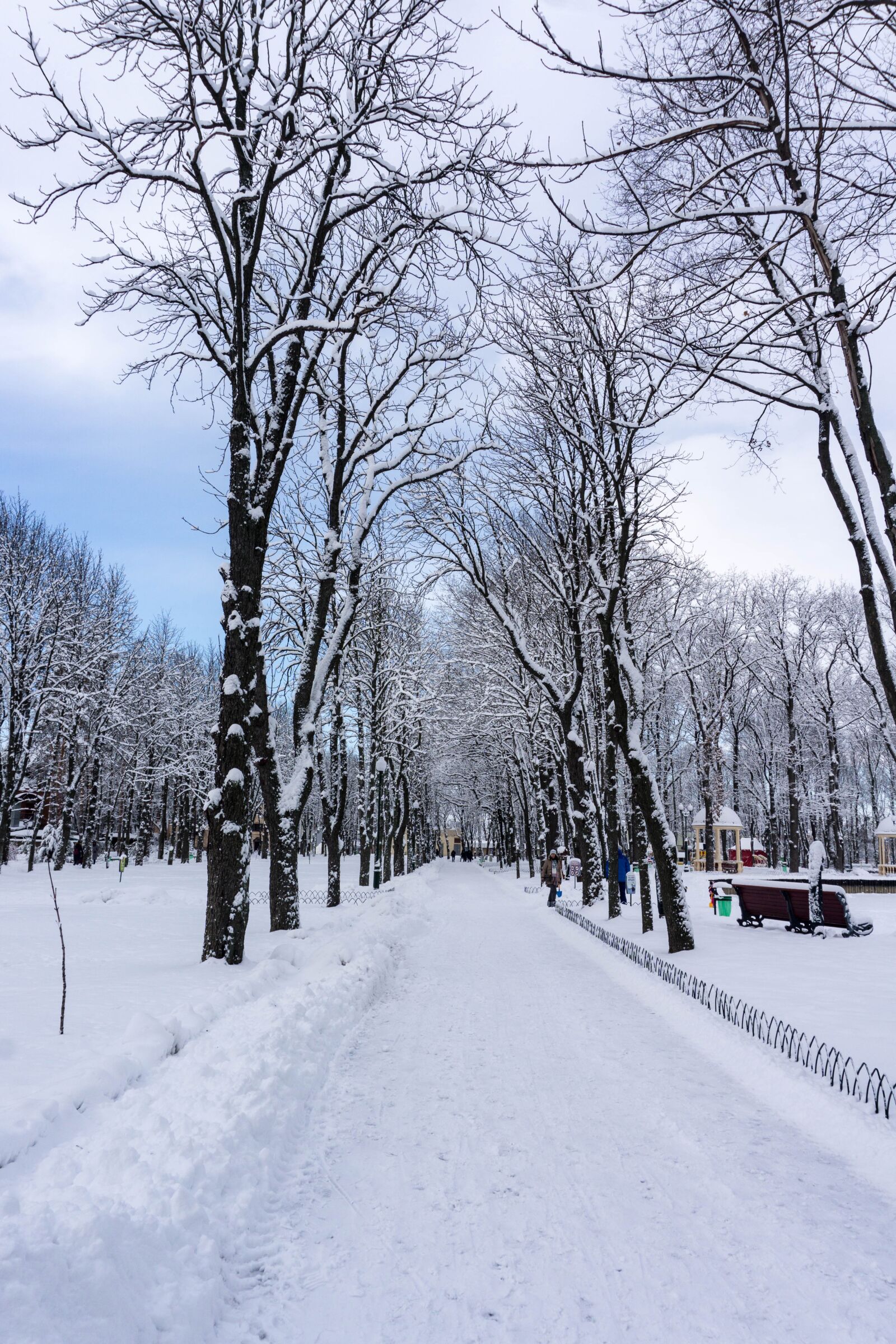 Sony E 16-50mm F3.5-5.6 PZ OSS sample photo. Winter, snow, coldly photography
