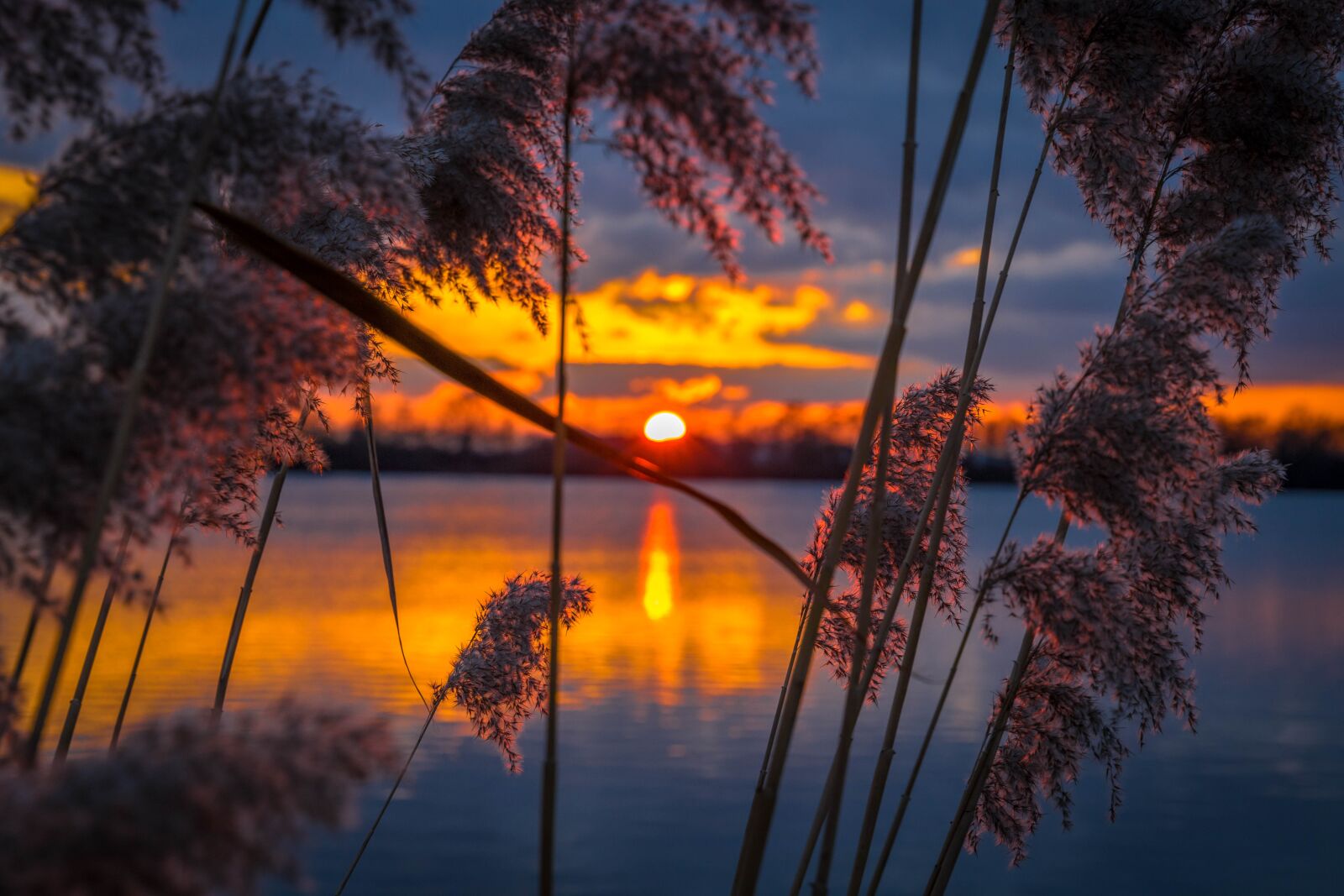 Canon EF 24-105mm F3.5-5.6 IS STM sample photo. Sunset, sunrise, freedom photography
