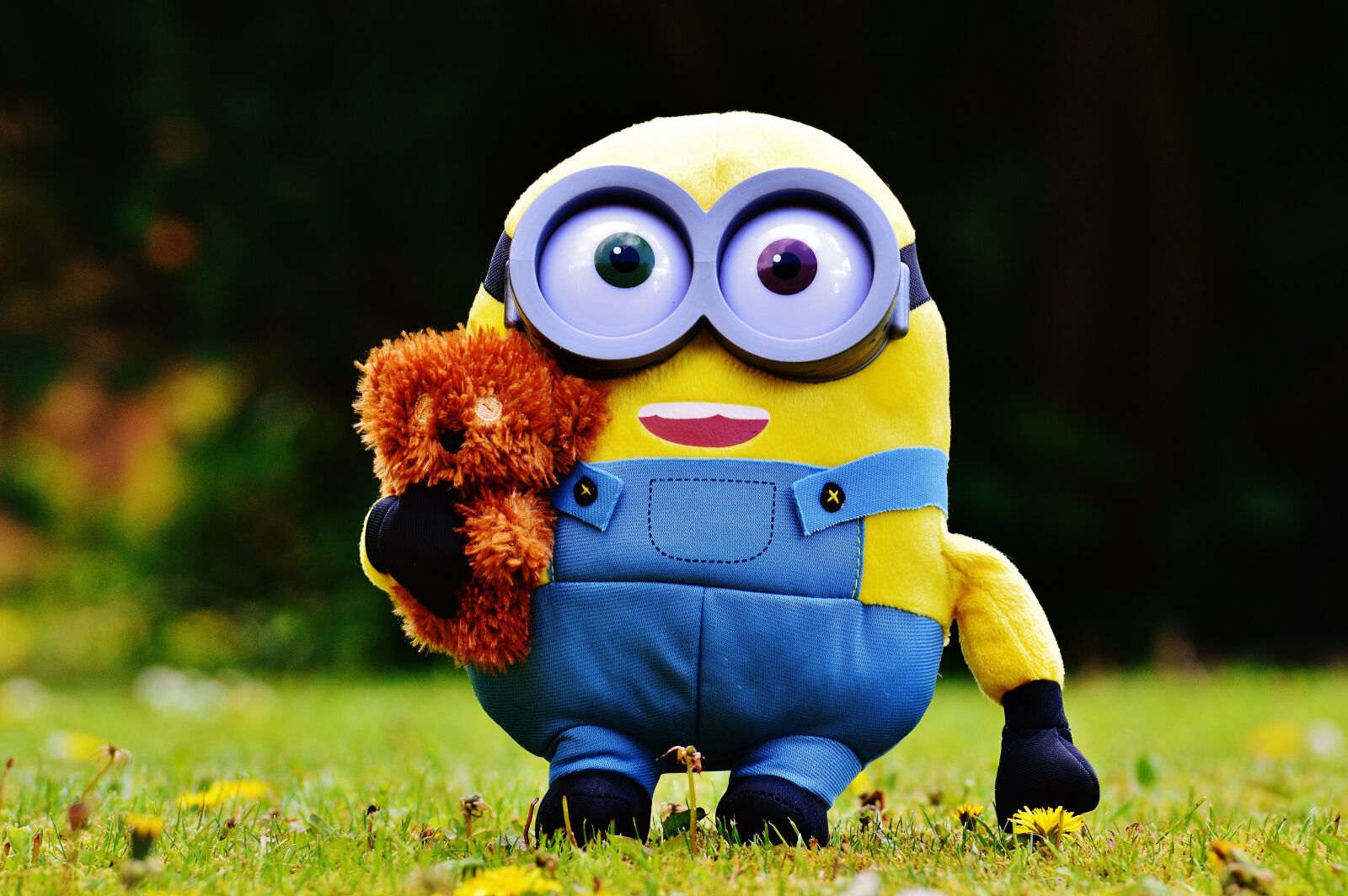 Nikon D3200 sample photo. Minion, funny, figure photography