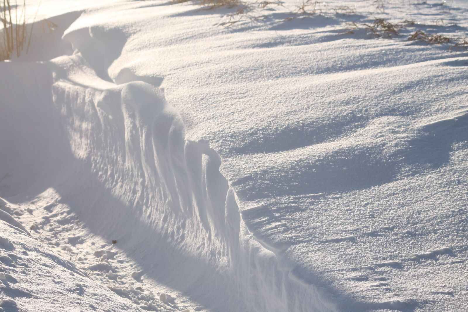 Canon EOS 1100D (EOS Rebel T3 / EOS Kiss X50) sample photo. Snow, sun, bavaria photography