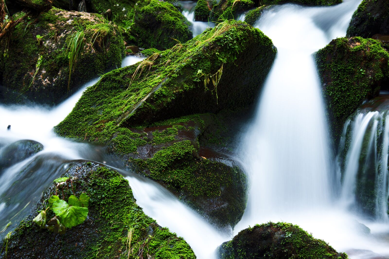 Canon EOS 5D Mark II sample photo. Creek, falls, flow, flowing photography