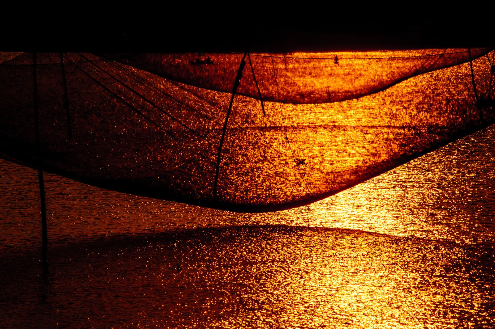 Nikon Df sample photo. Sunset, afternoon, fish photography