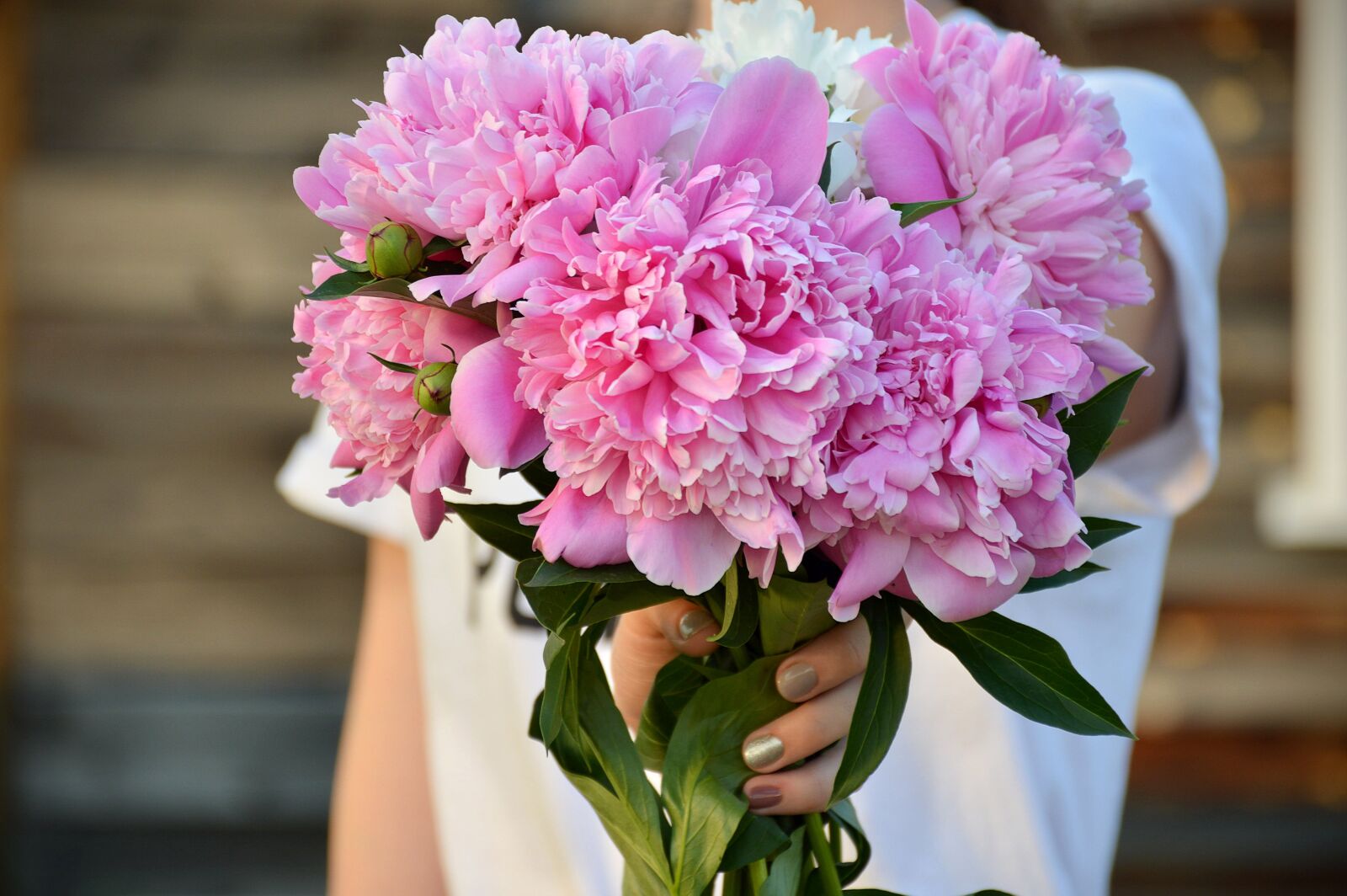 Nikon D3200 sample photo. Summer, peonies, pink photography