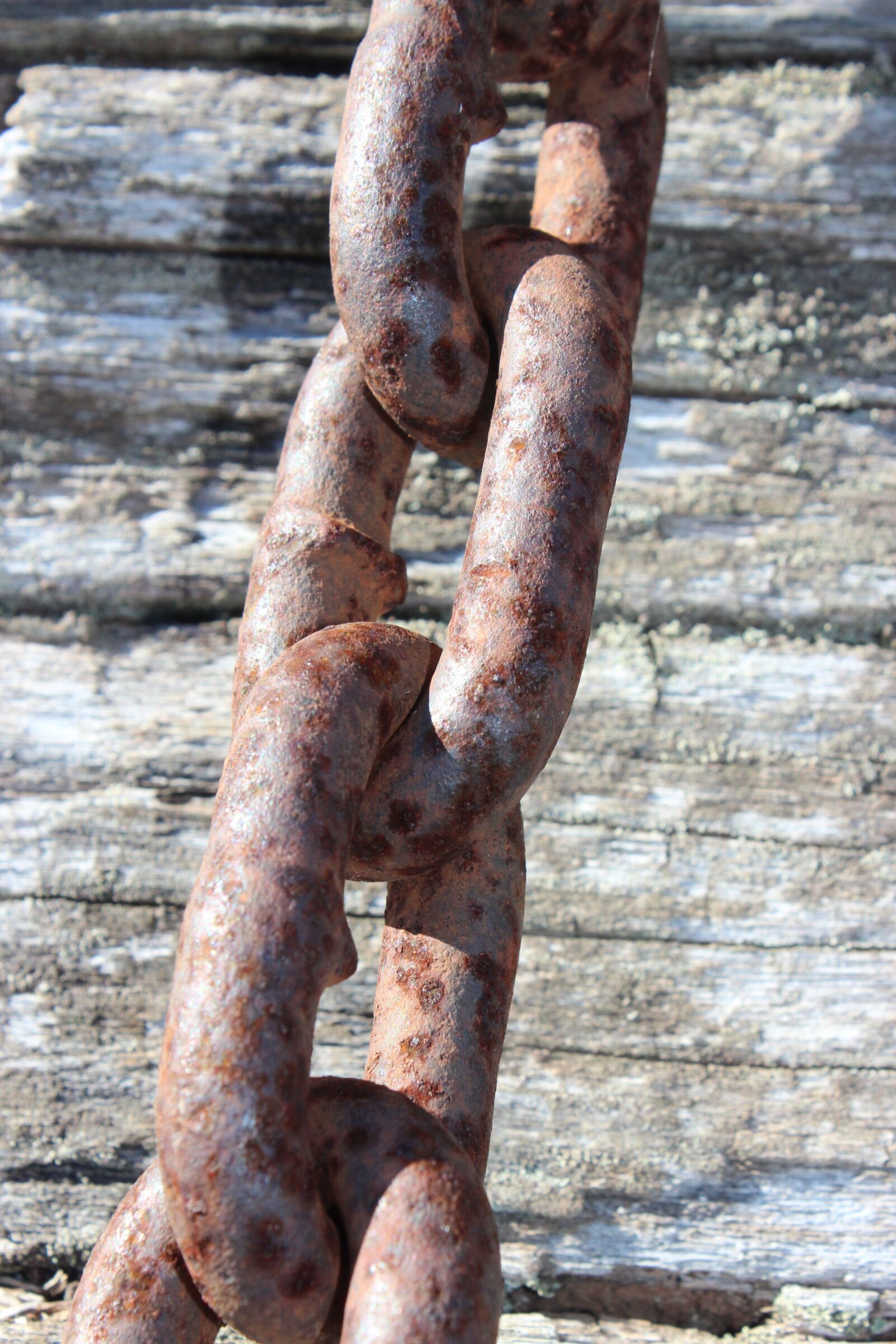 Canon EOS 600D (Rebel EOS T3i / EOS Kiss X5) sample photo. Chain, rusty chain, links photography