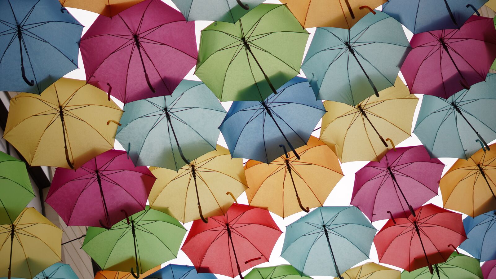 Sony Alpha NEX-7 sample photo. Umbrella, art, colorful photography