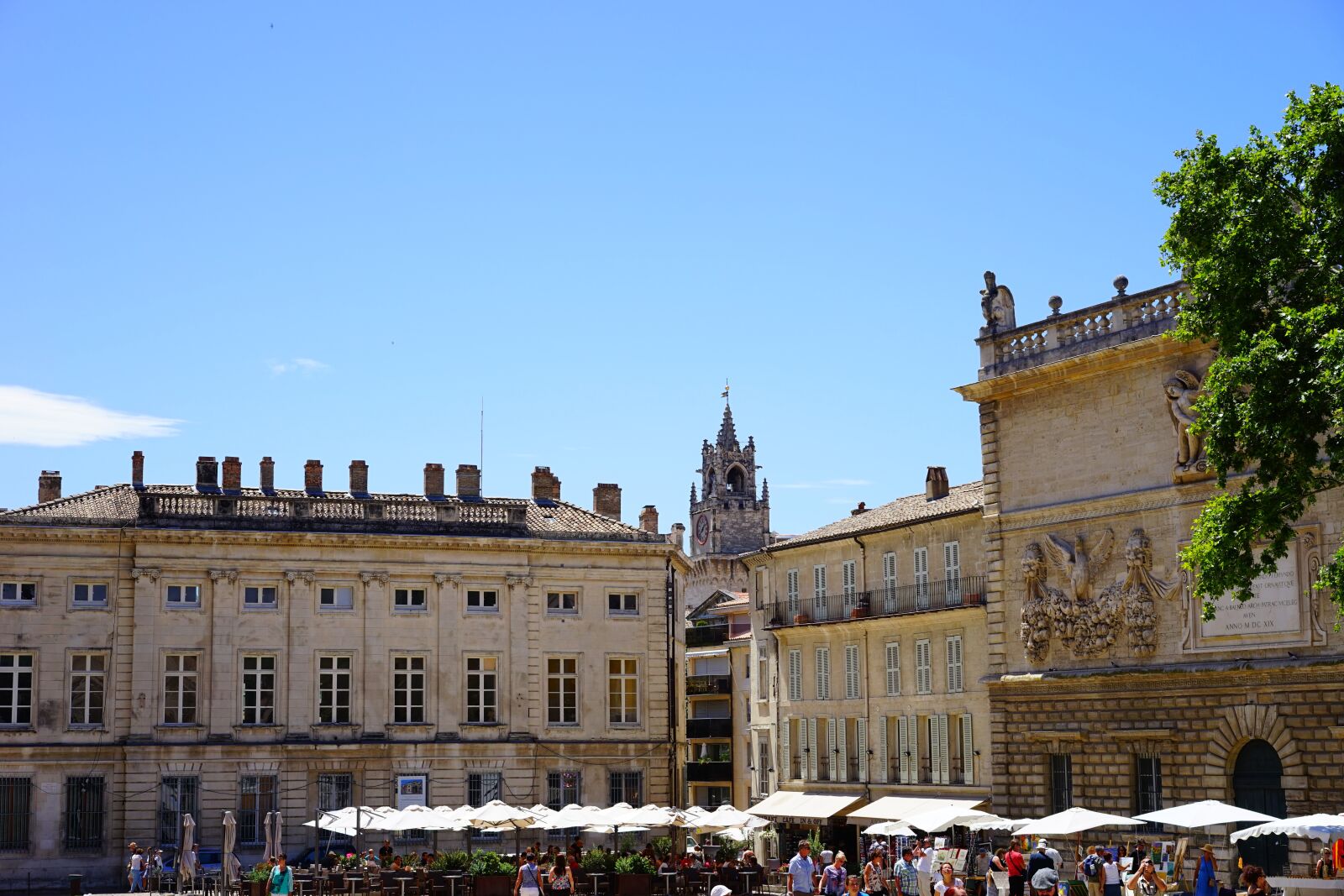Sony a7 + Sony Sonnar T* FE 55mm F1.8 ZA sample photo. Avignon, city life, market photography