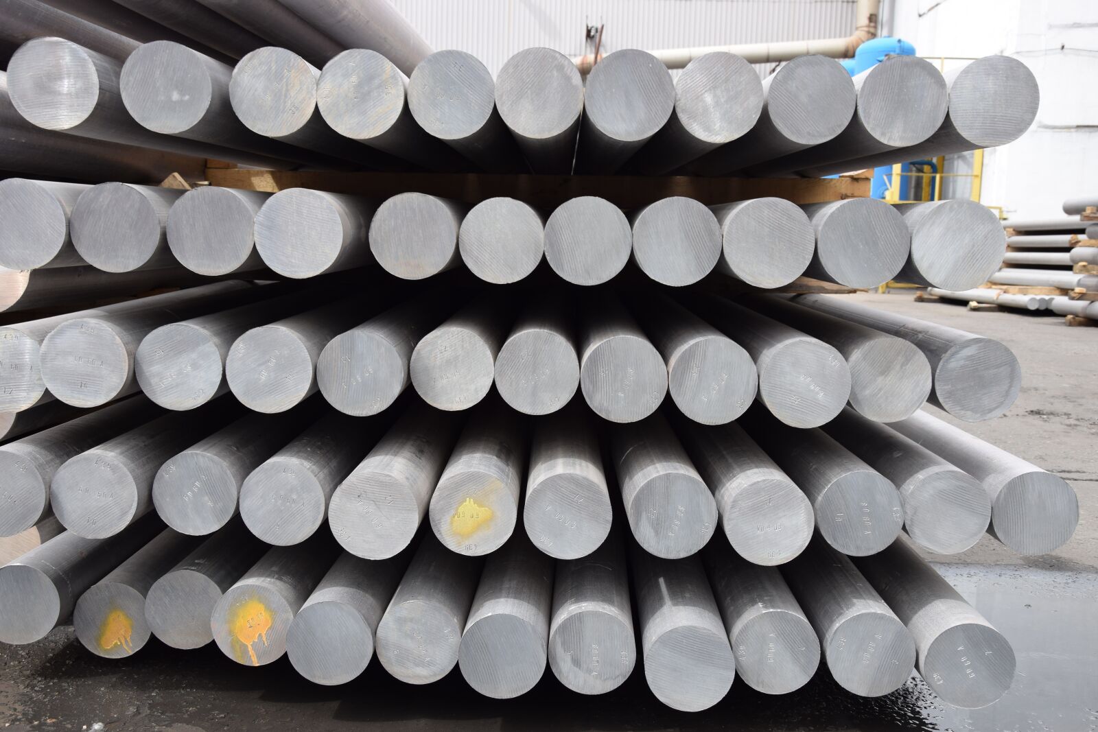 Nikon D5300 sample photo. Plant, aluminium, production photography