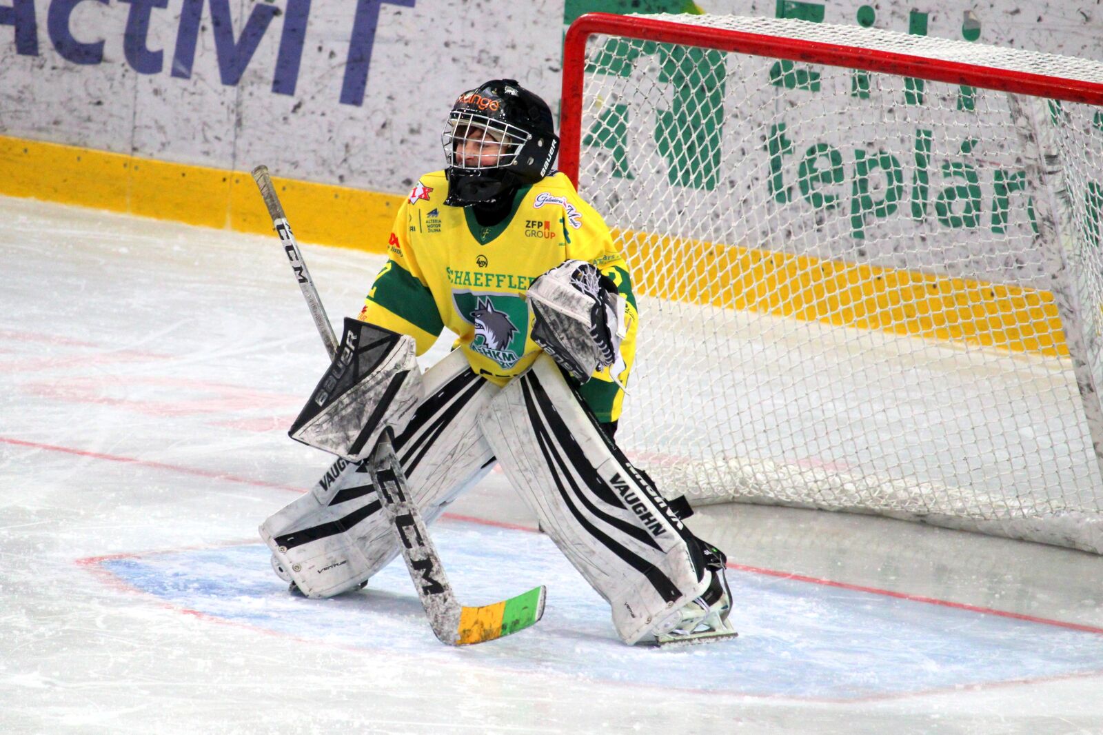 Canon EF-S 55-250mm F4-5.6 IS STM sample photo. Goalkeeper, hockey, children photography
