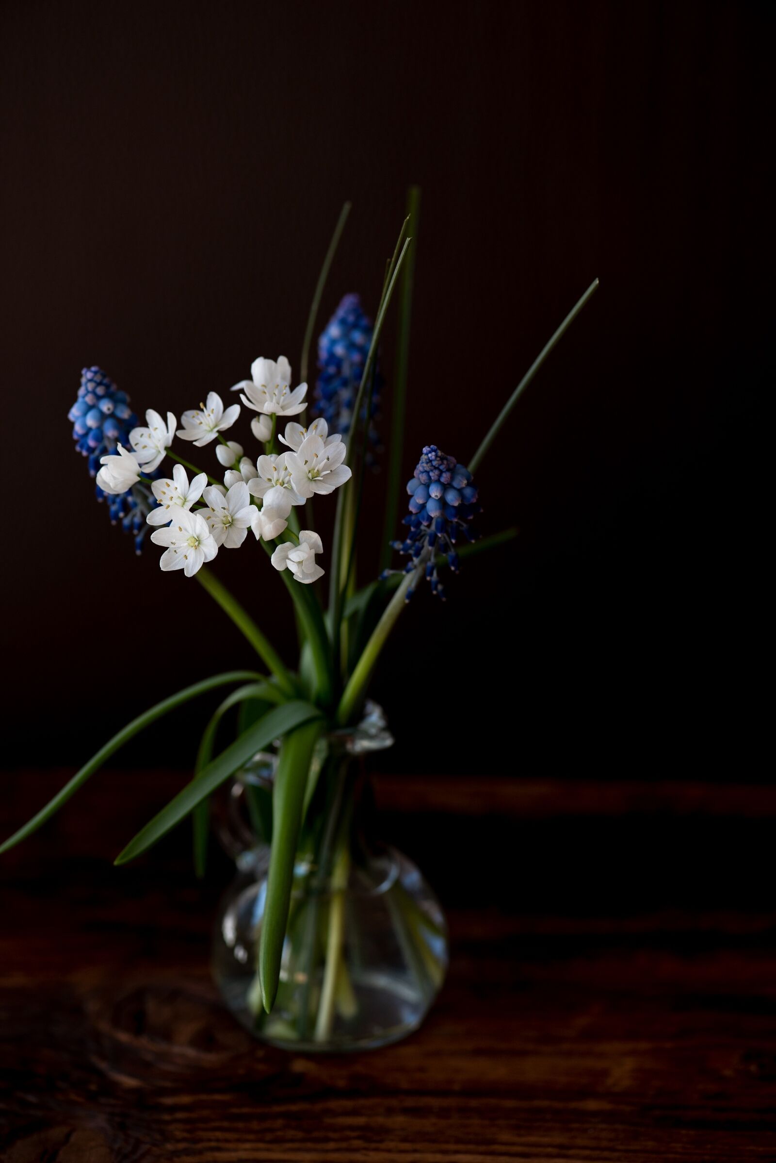 Nikon D750 sample photo. Vase, flowers, white photography