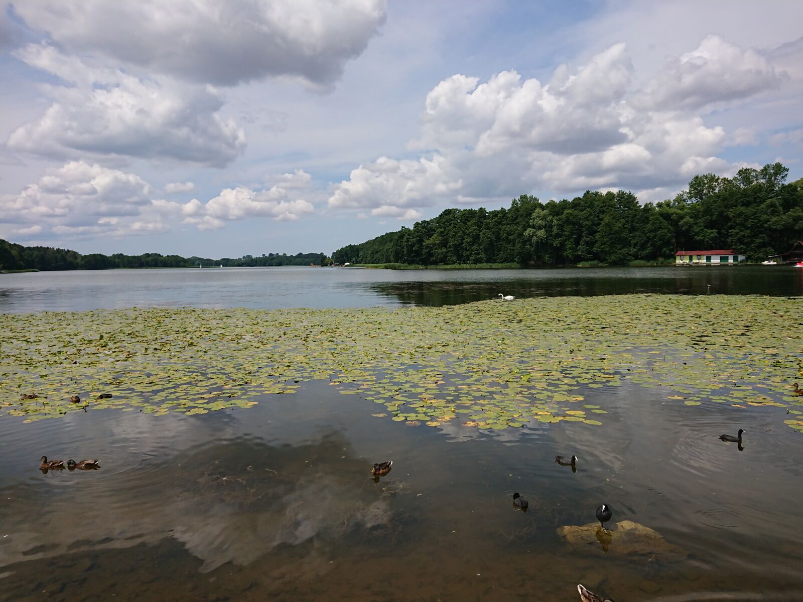 Sony Xperia XZ1 Compact sample photo. Lake, clouds, sky photography