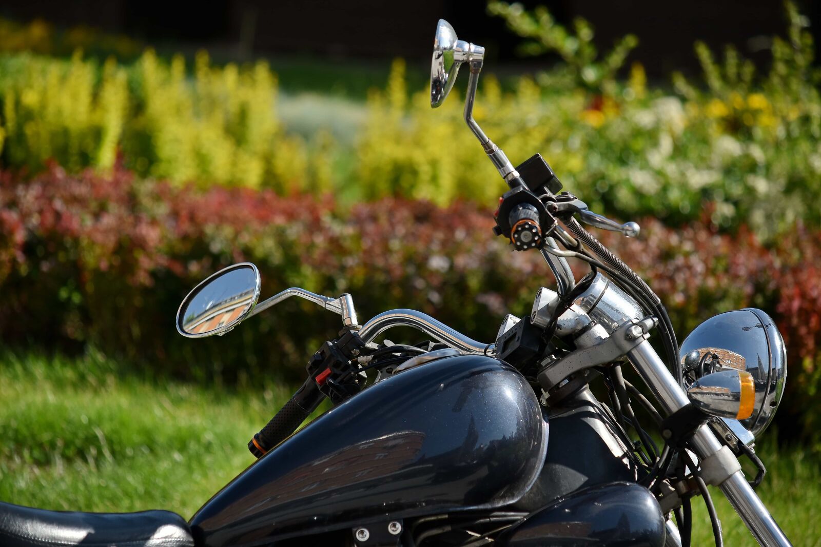Nikon D5500 sample photo. Metallic, mirror, steering wheel photography