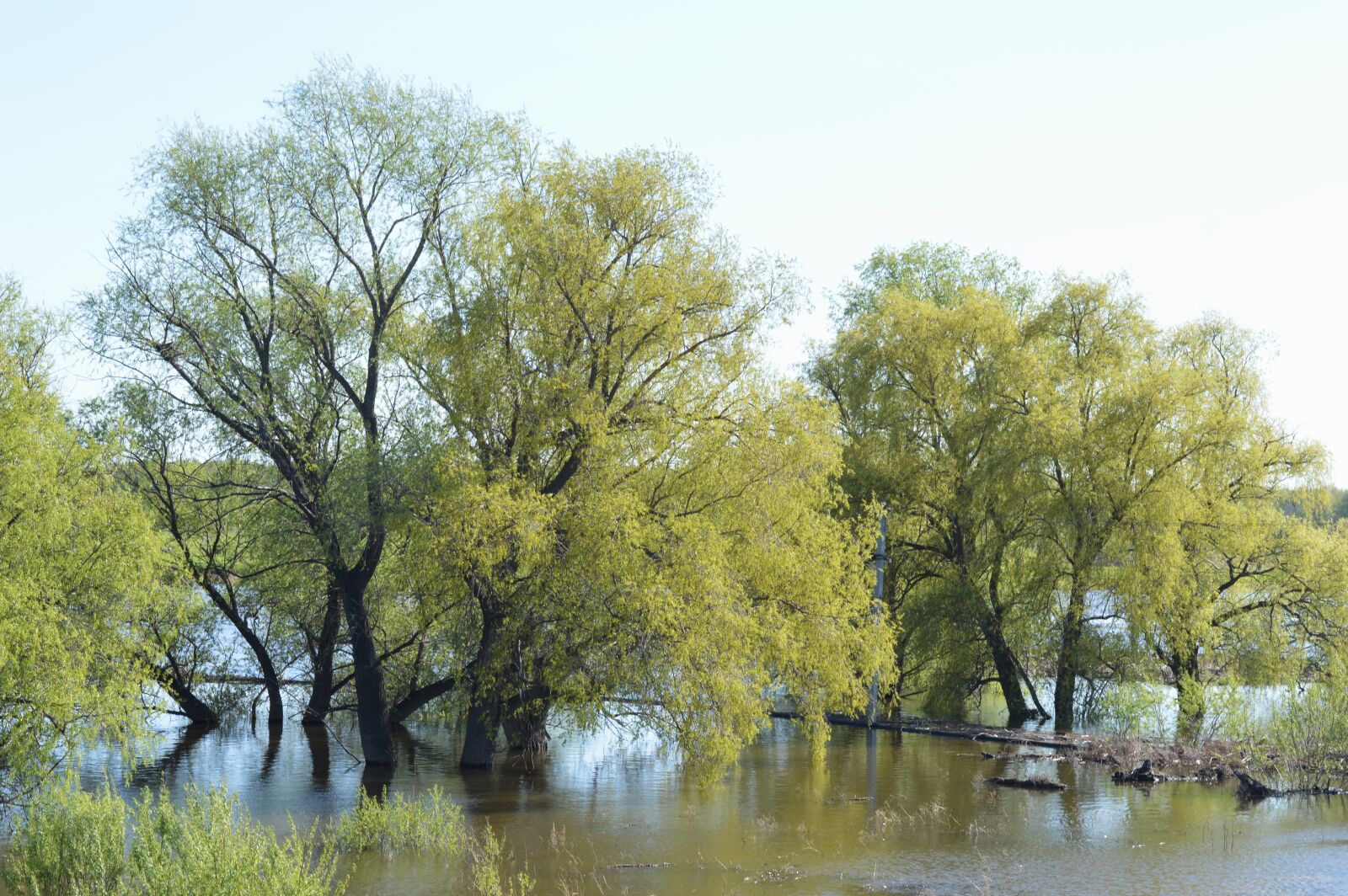 Nikon D3200 sample photo. Spring, water, nature photography