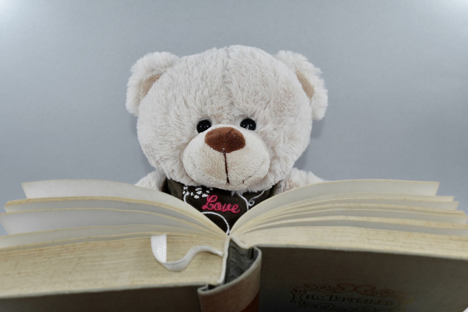 Nikon D5500 sample photo. Book, knowledge, literacy, reading photography
