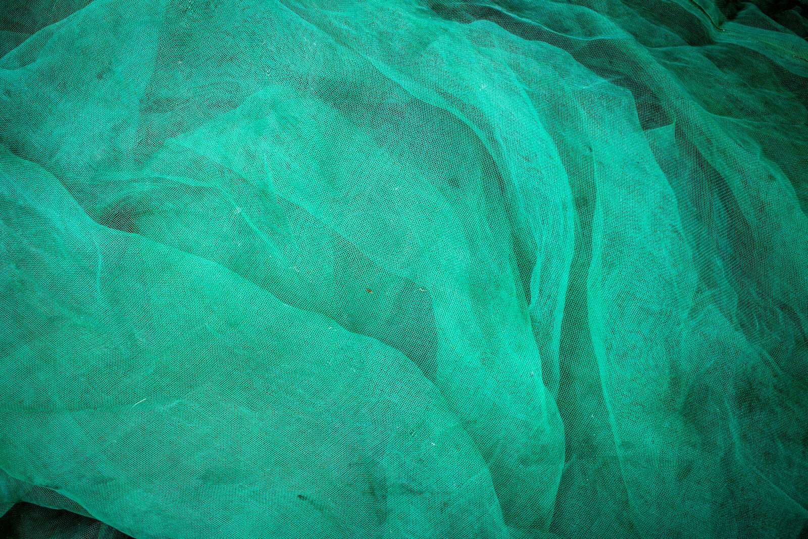 Canon EF 40mm F2.8 STM sample photo. Background, abstract, mode photography