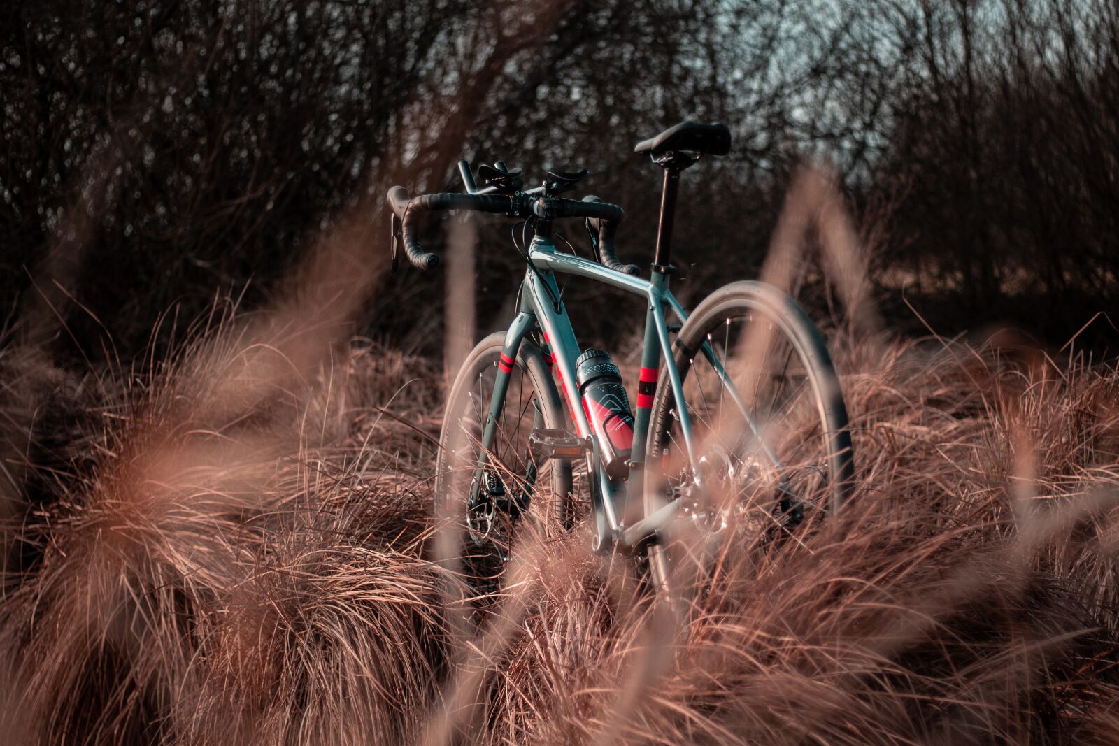 Canon EOS 700D (EOS Rebel T5i / EOS Kiss X7i) + Canon EF 50mm F1.8 STM sample photo. Bike, excursions, tour photography