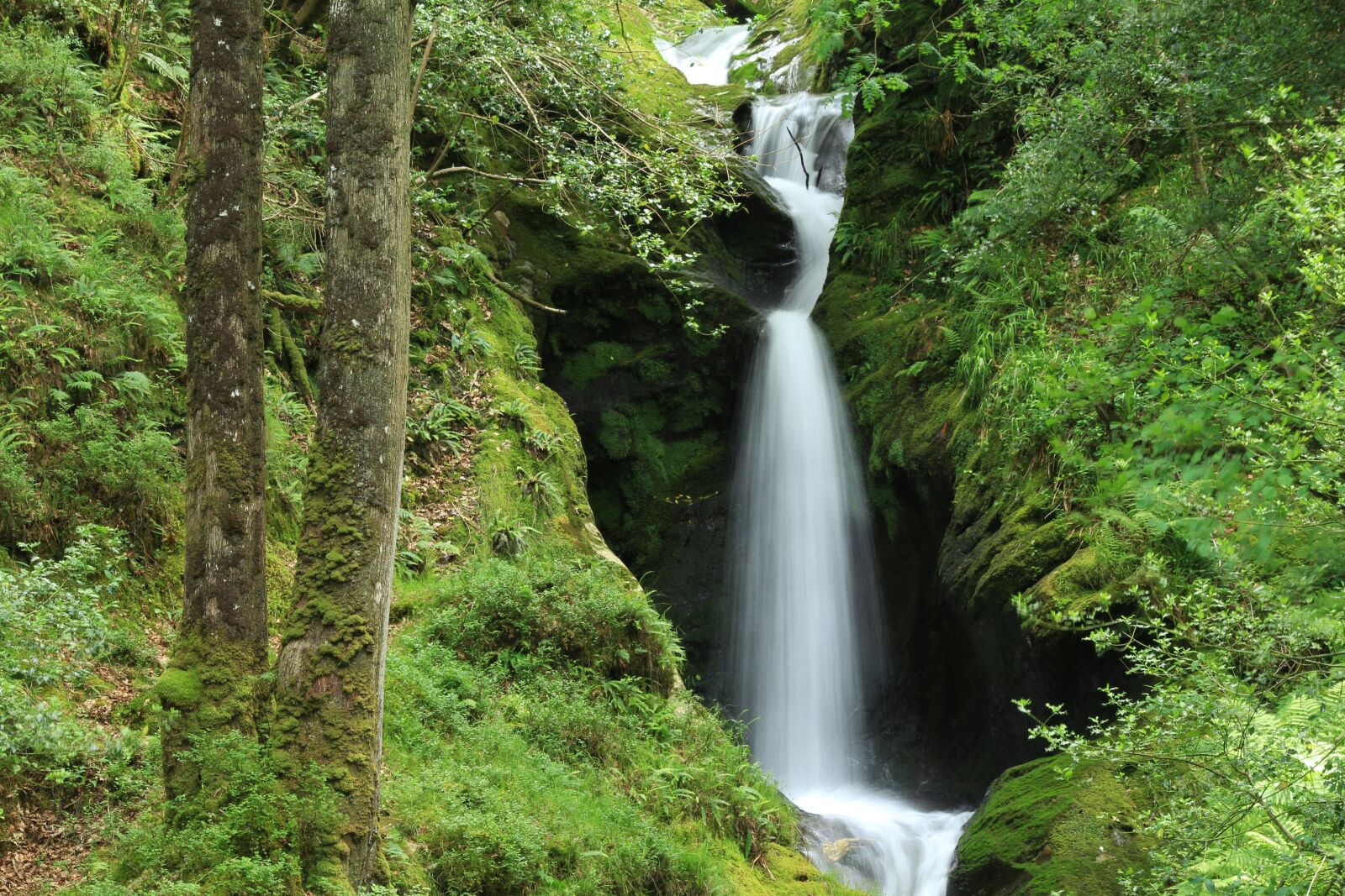 Canon EOS 1200D (EOS Rebel T5 / EOS Kiss X70 / EOS Hi) sample photo. Waterfall, forest, nature photography