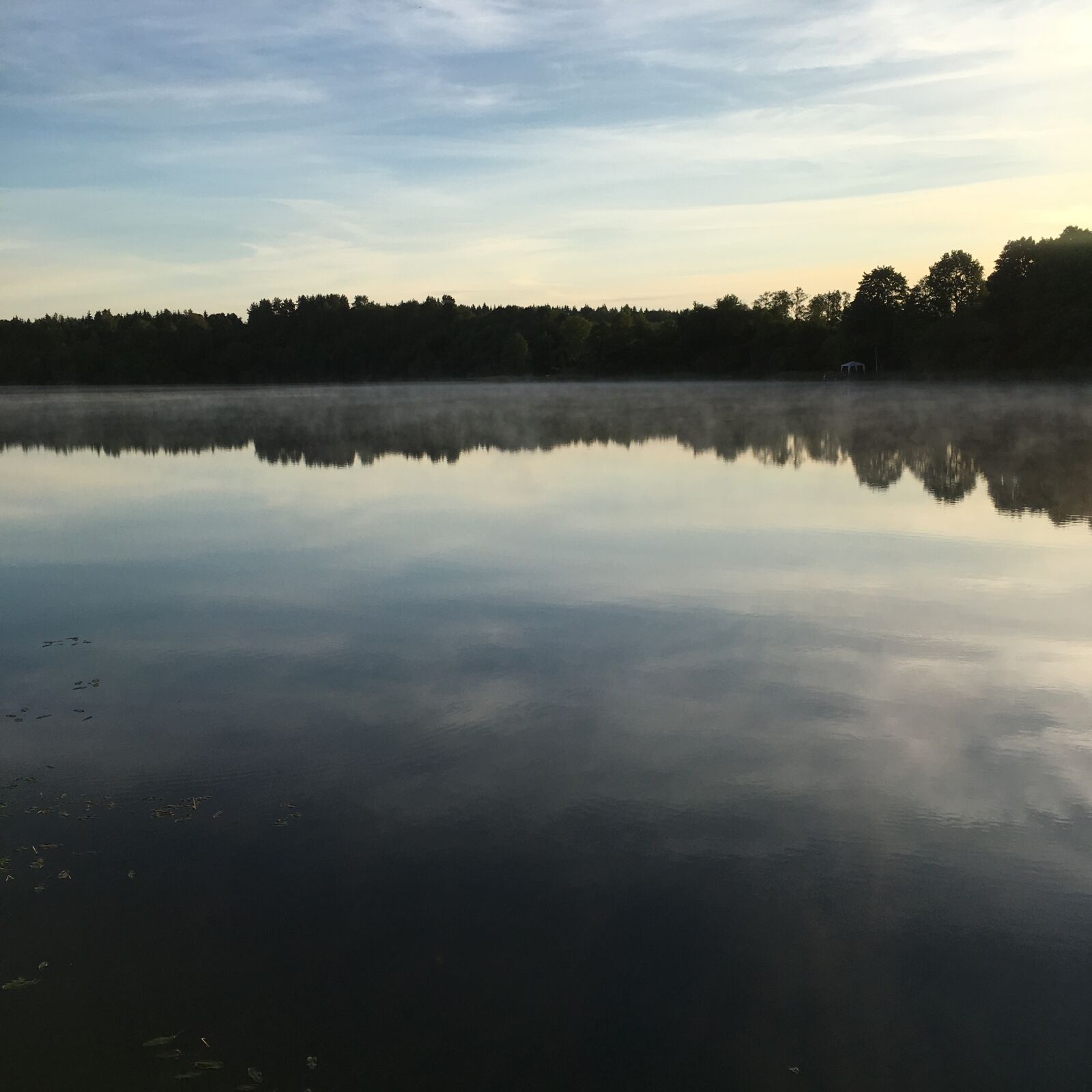iPhone 6s Plus back camera 4.15mm f/2.2 sample photo. Lake, nature, trees photography