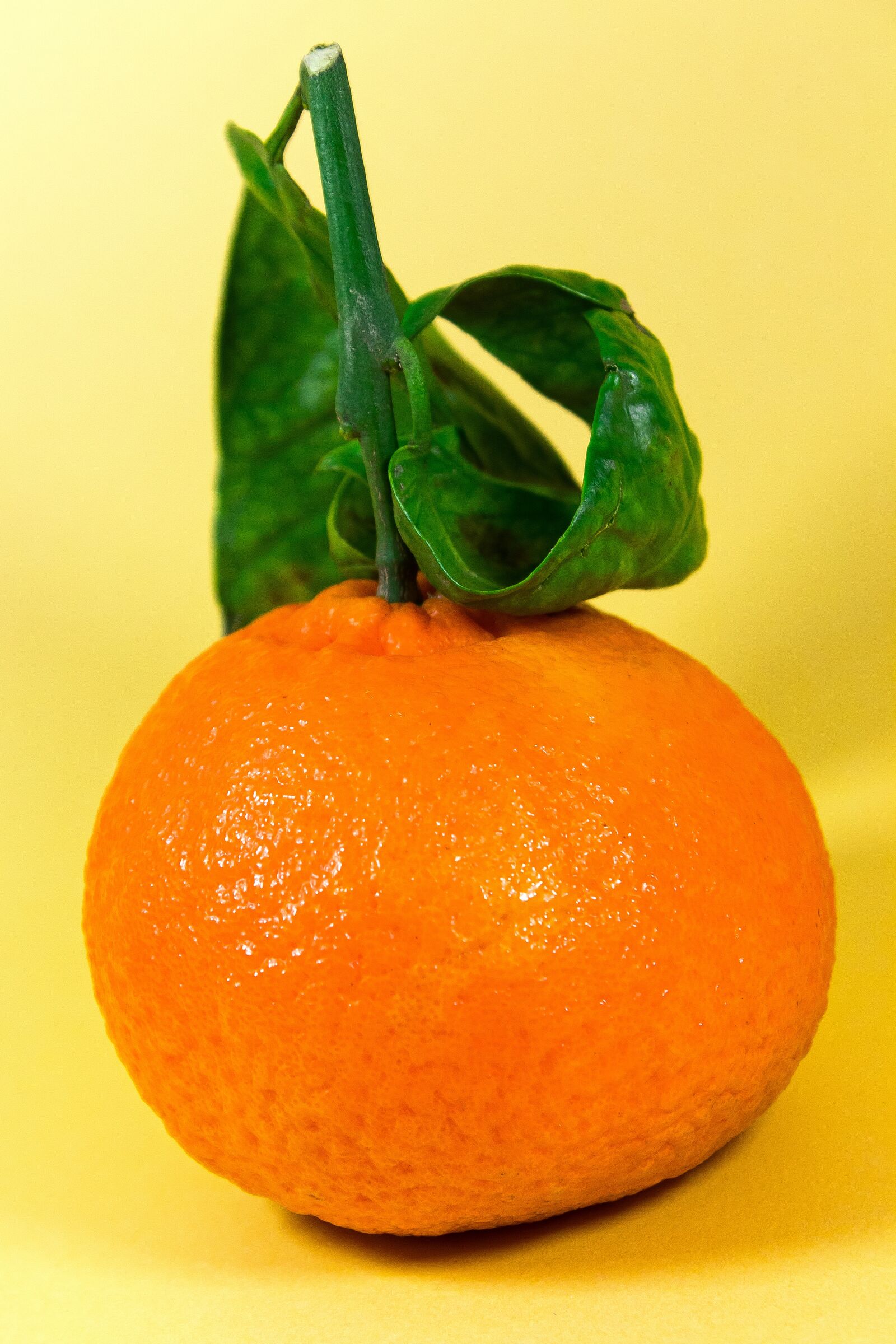 Canon EOS 1300D (EOS Rebel T6 / EOS Kiss X80) sample photo. Mandarin, snack, fresh photography