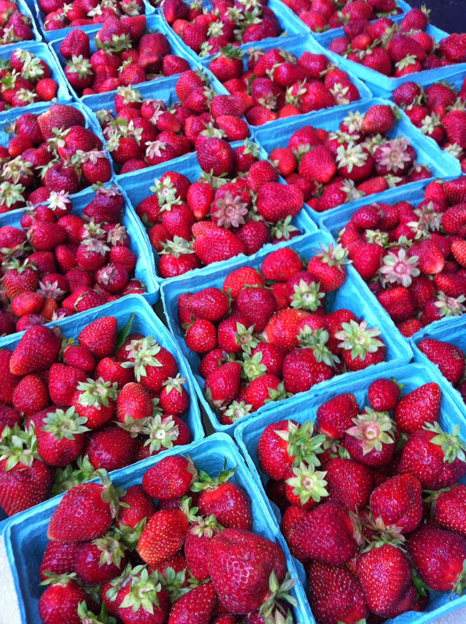 Apple iPhone 4 sample photo