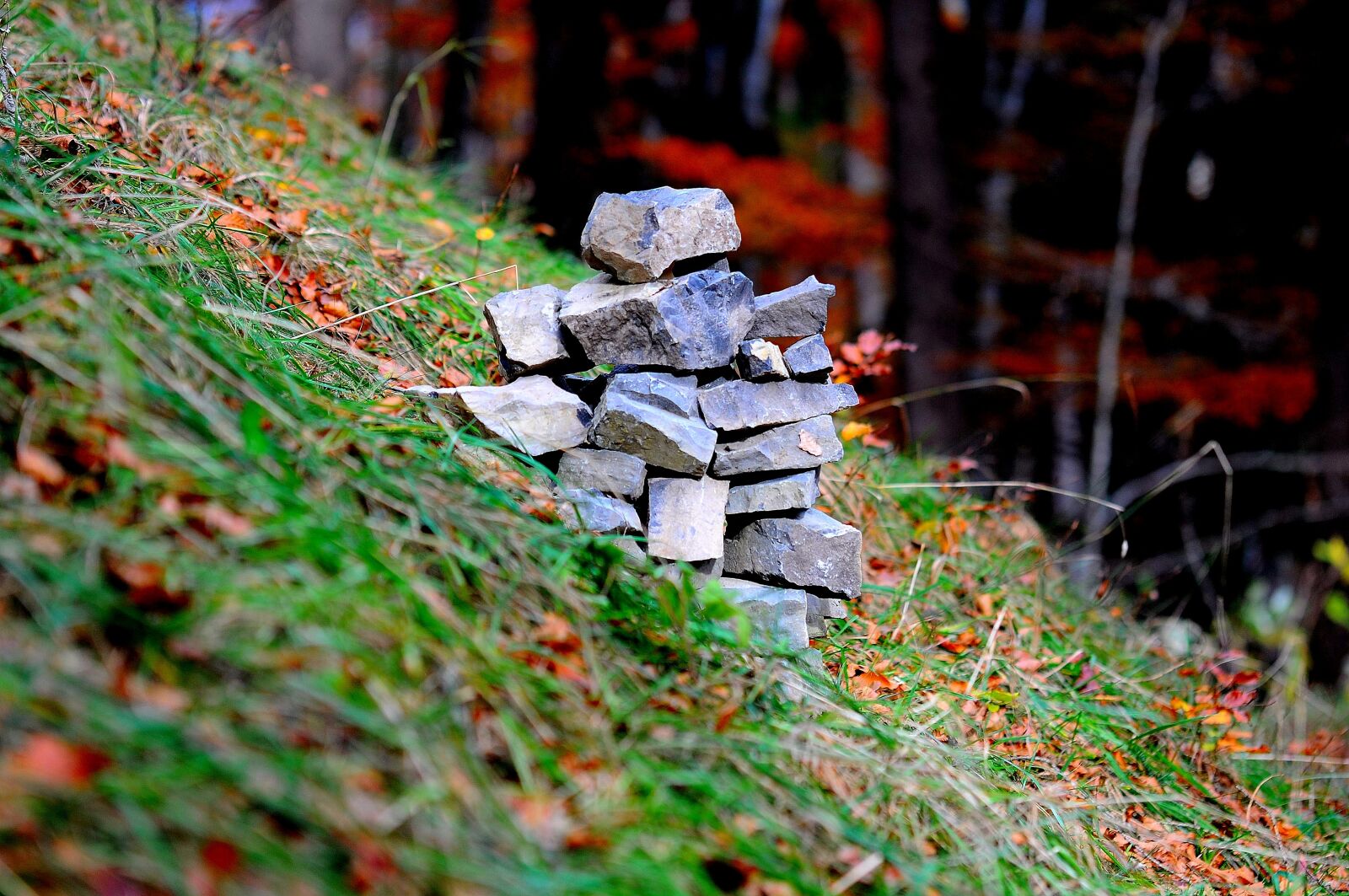 Nikon D90 sample photo. Stones, forest, meadow photography