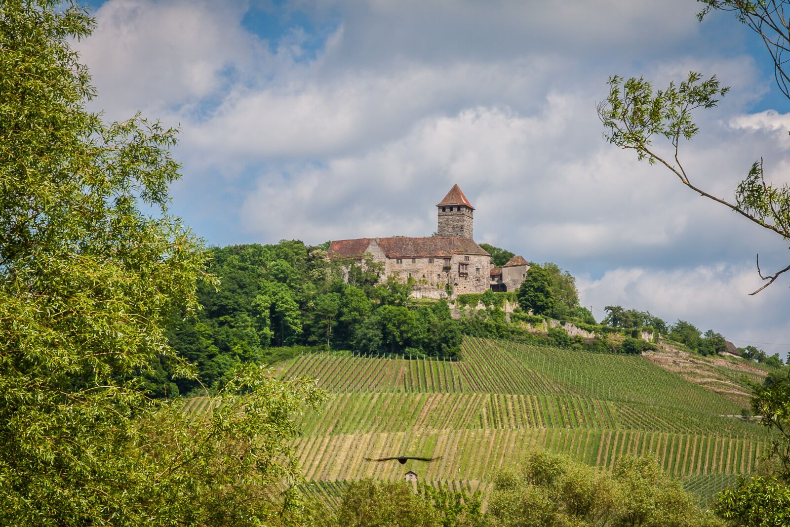Canon EOS 50D + Canon EF 24-105mm F4L IS USM sample photo. Castle lichtenberg, top box photography