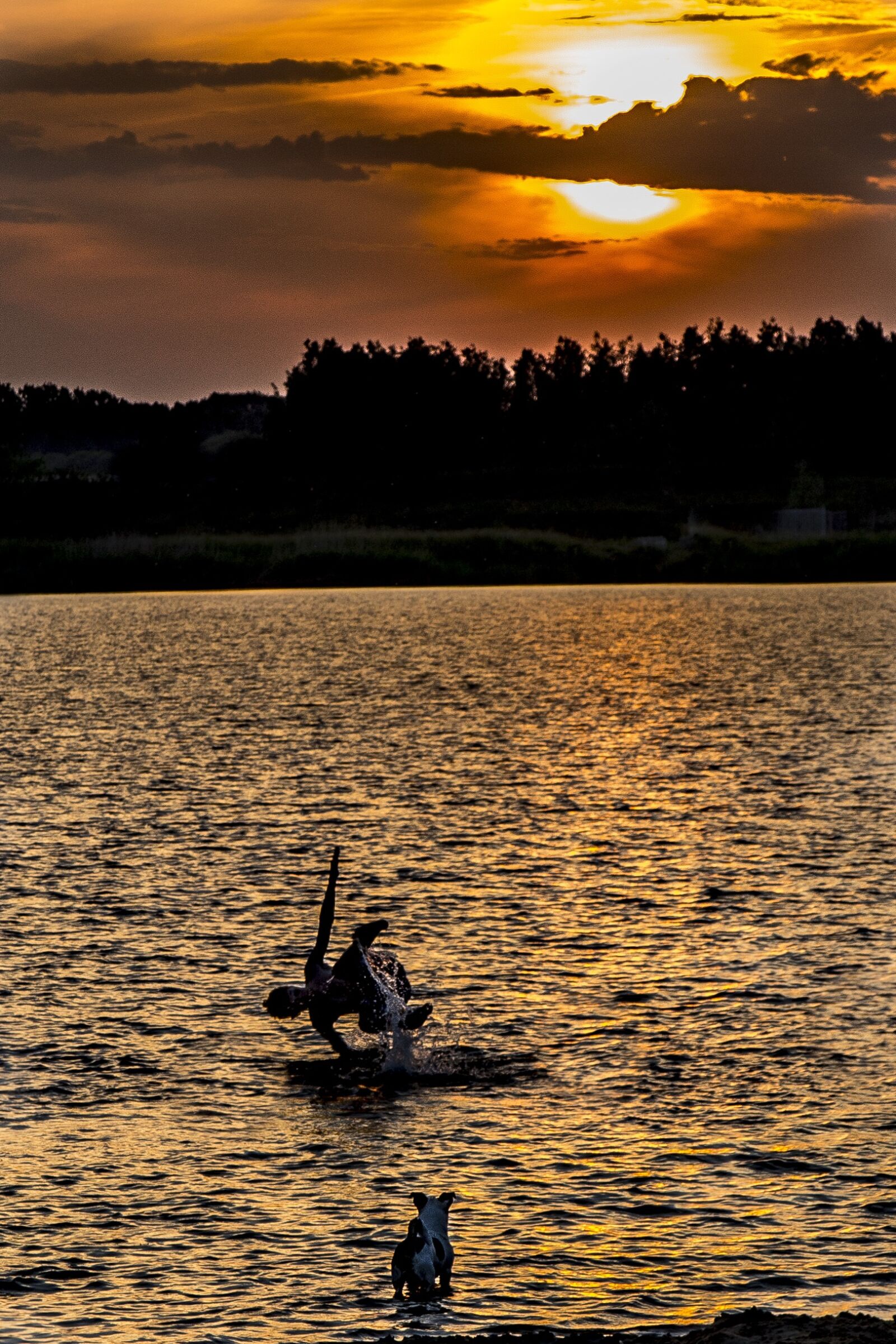 Canon EOS 6D + Canon EF 24-105mm F4L IS USM sample photo. Water, sea, more photography