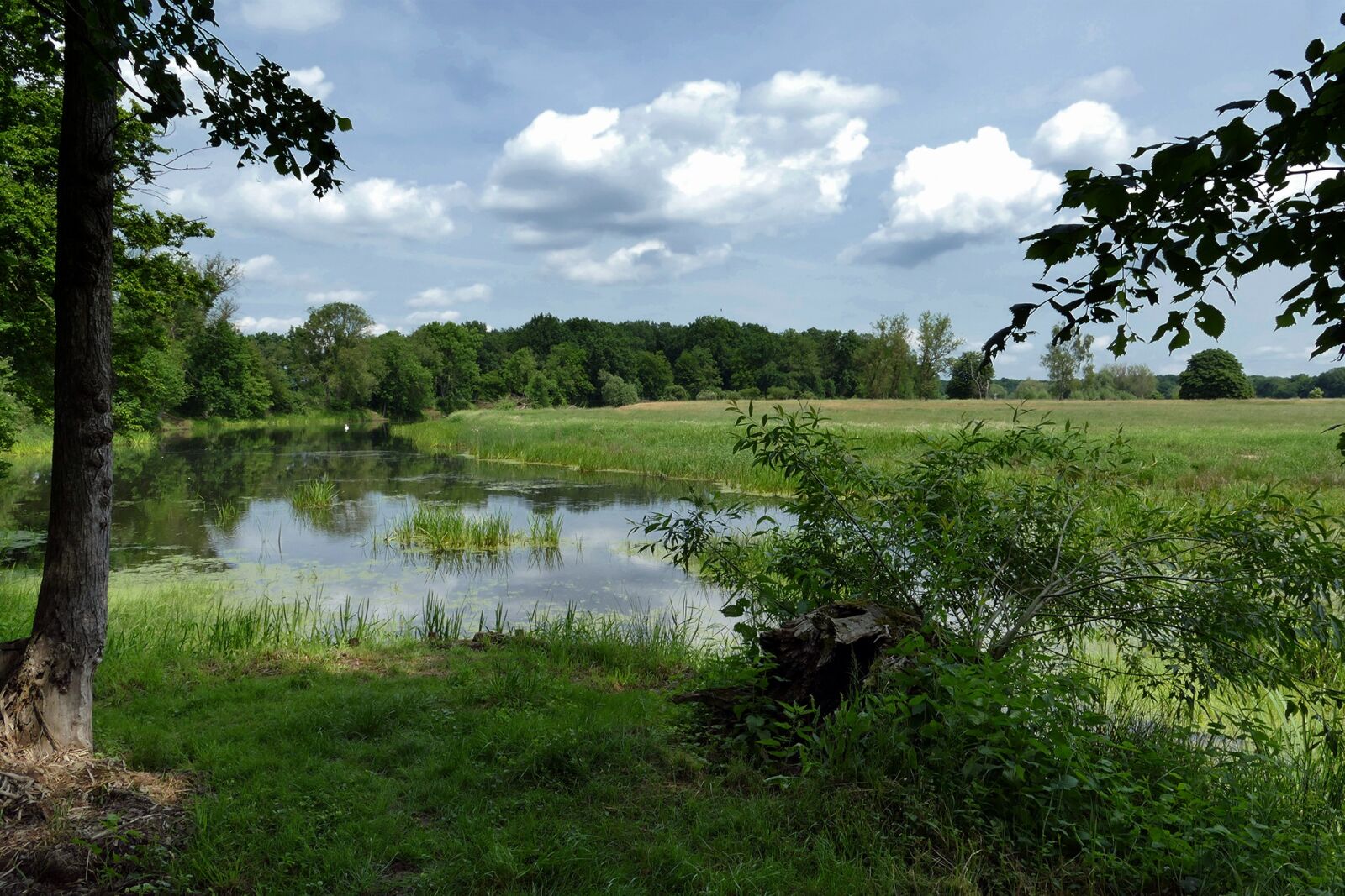 Panasonic Lumix DMC-FZ1000 sample photo. Pond, lake, landscape photography