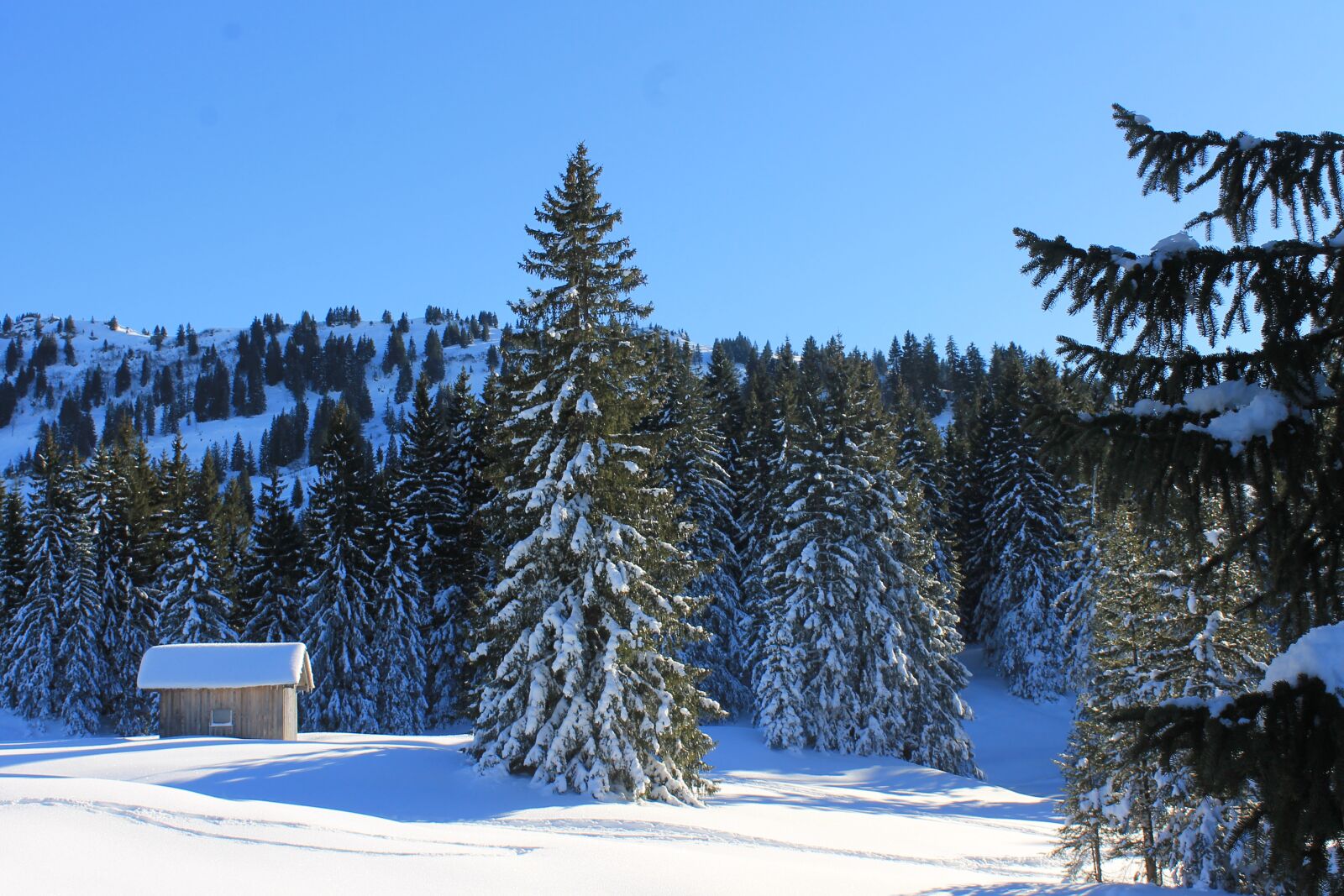 Canon EOS 1100D (EOS Rebel T3 / EOS Kiss X50) sample photo. Winter, hut, snow photography
