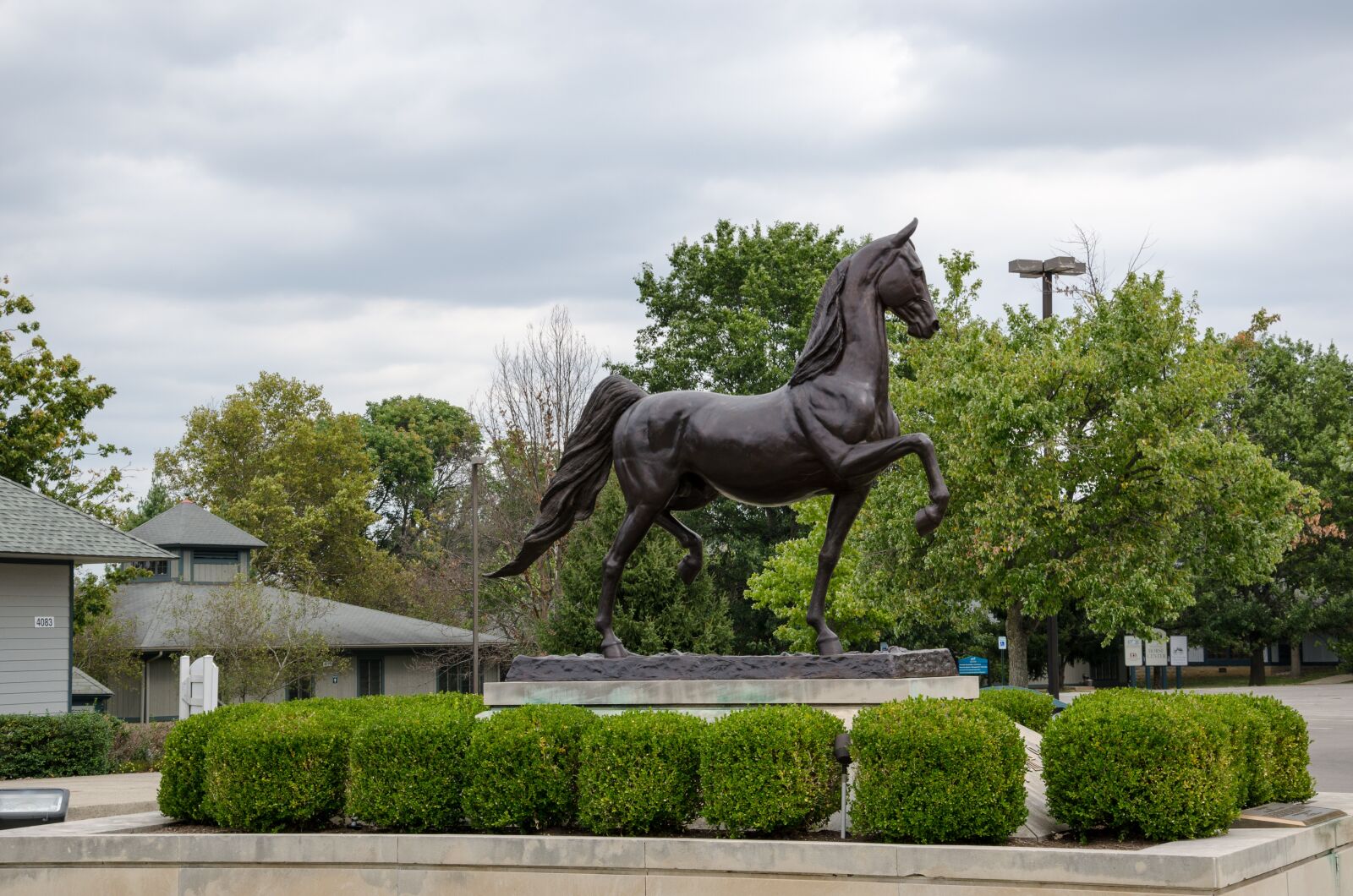 Nikon D5100 sample photo. Kentucky, usa, america photography