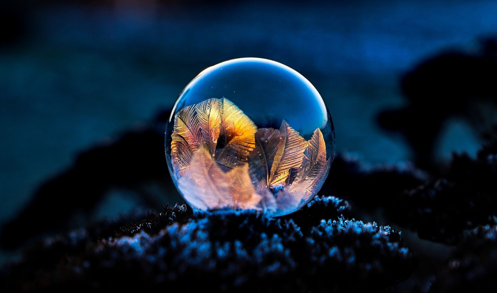 Canon EF 24-105mm F3.5-5.6 IS STM sample photo. Soapbubble, frozen, wintry photography