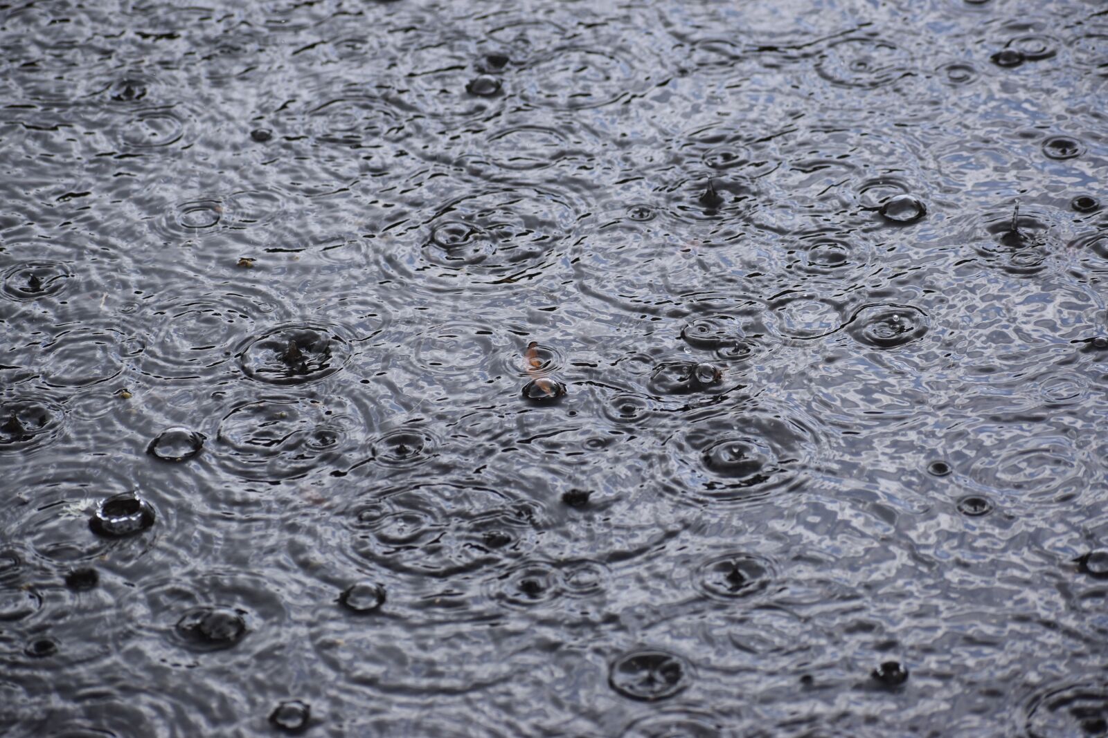 Nikon D3500 sample photo. Puddle, raindrops, falling photography