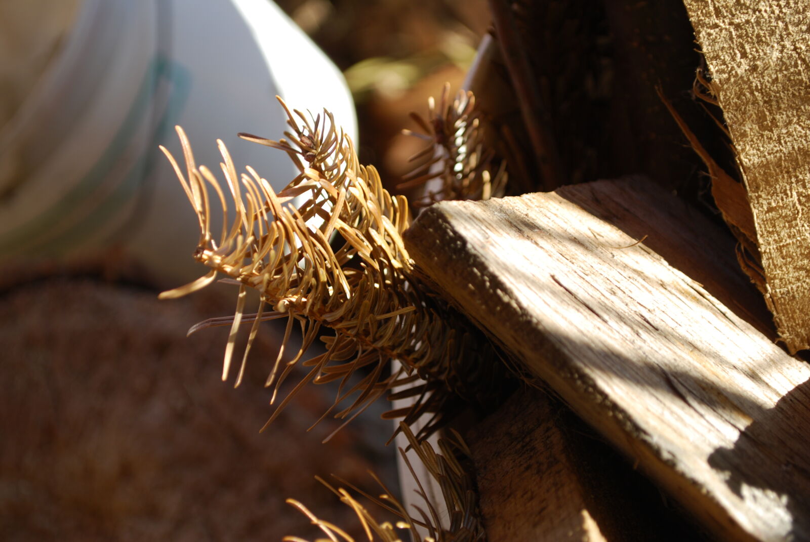 Nikon D60 sample photo. Chopped, wood, garden, sunny photography