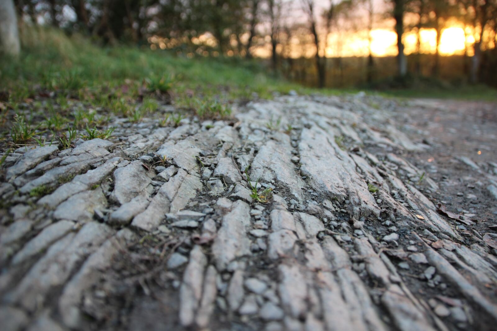 Canon EOS 600D (Rebel EOS T3i / EOS Kiss X5) sample photo. Away, forest, slate photography