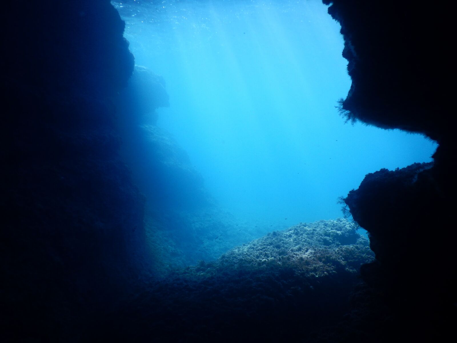 Nikon Coolpix AW130 sample photo. Diving, submarine, cave photography