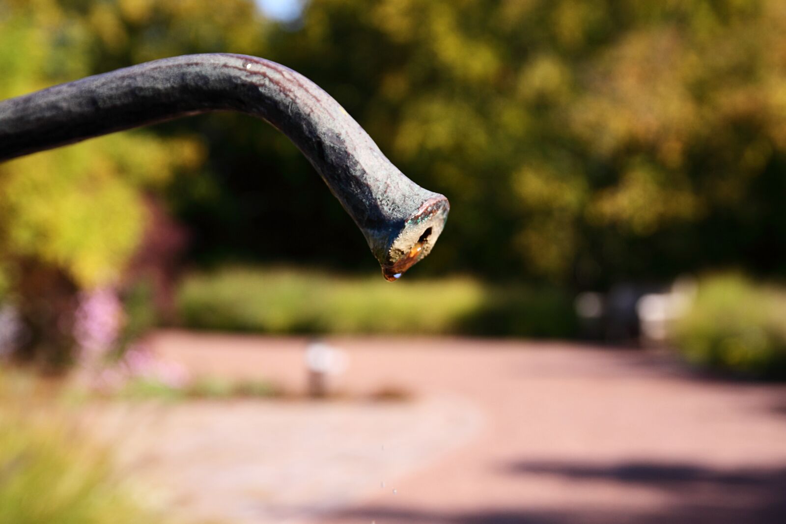 Canon EOS 50D sample photo. Nature, park, summer photography