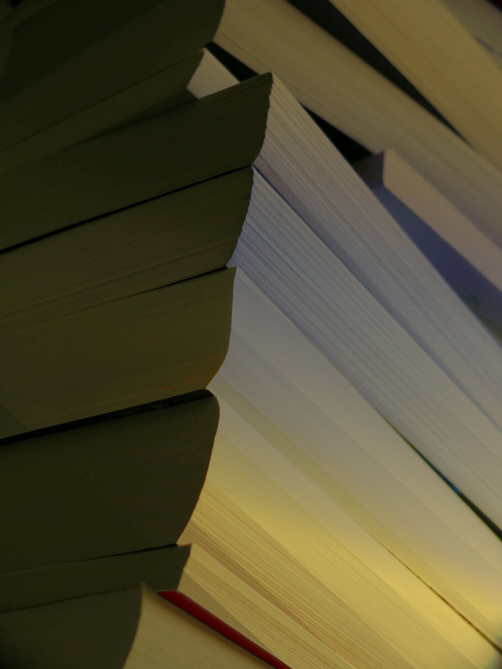 Leica V-LUX 1 sample photo. Books, book stack, stacked photography