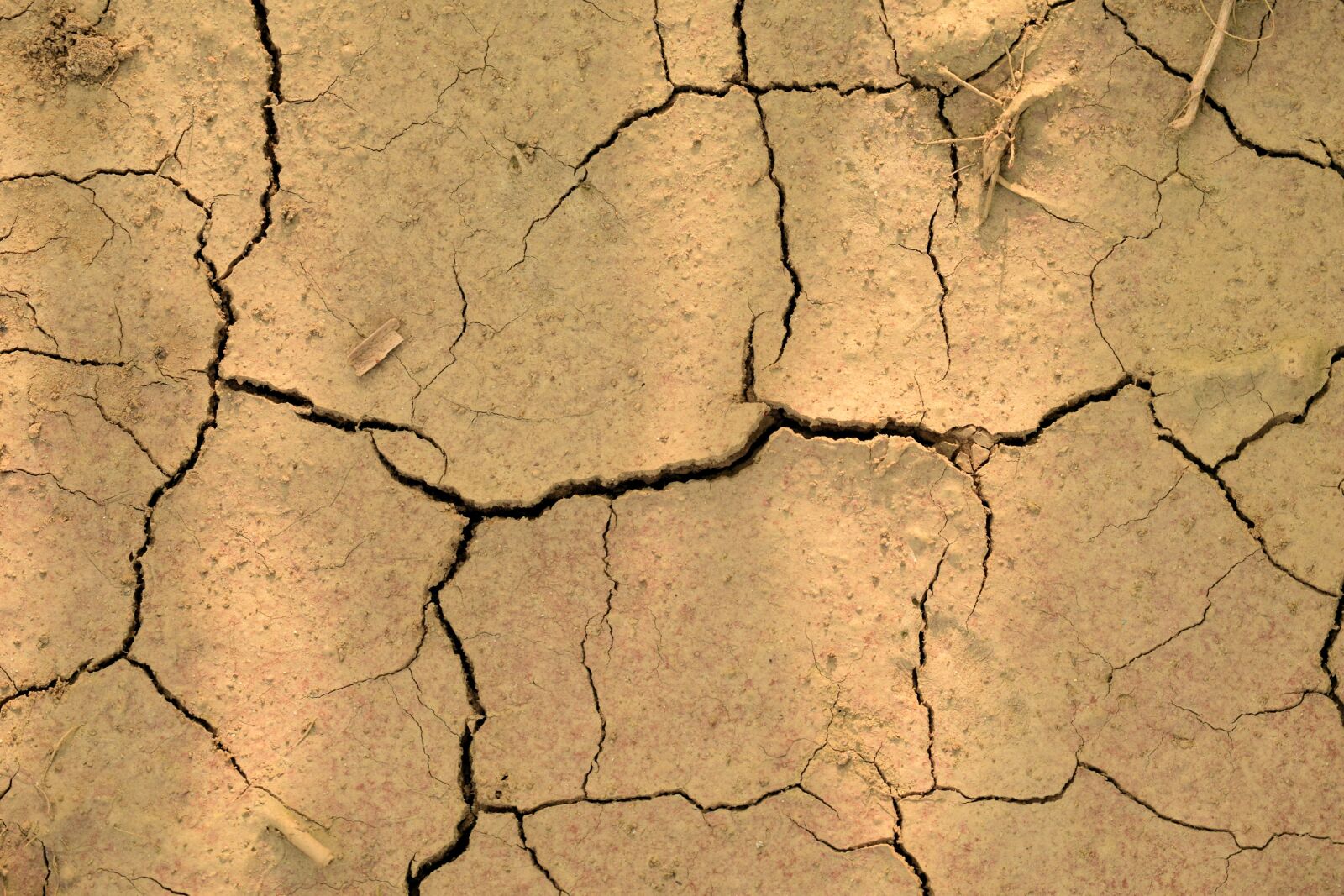Nikon D3300 sample photo. Earth, dry, clay photography