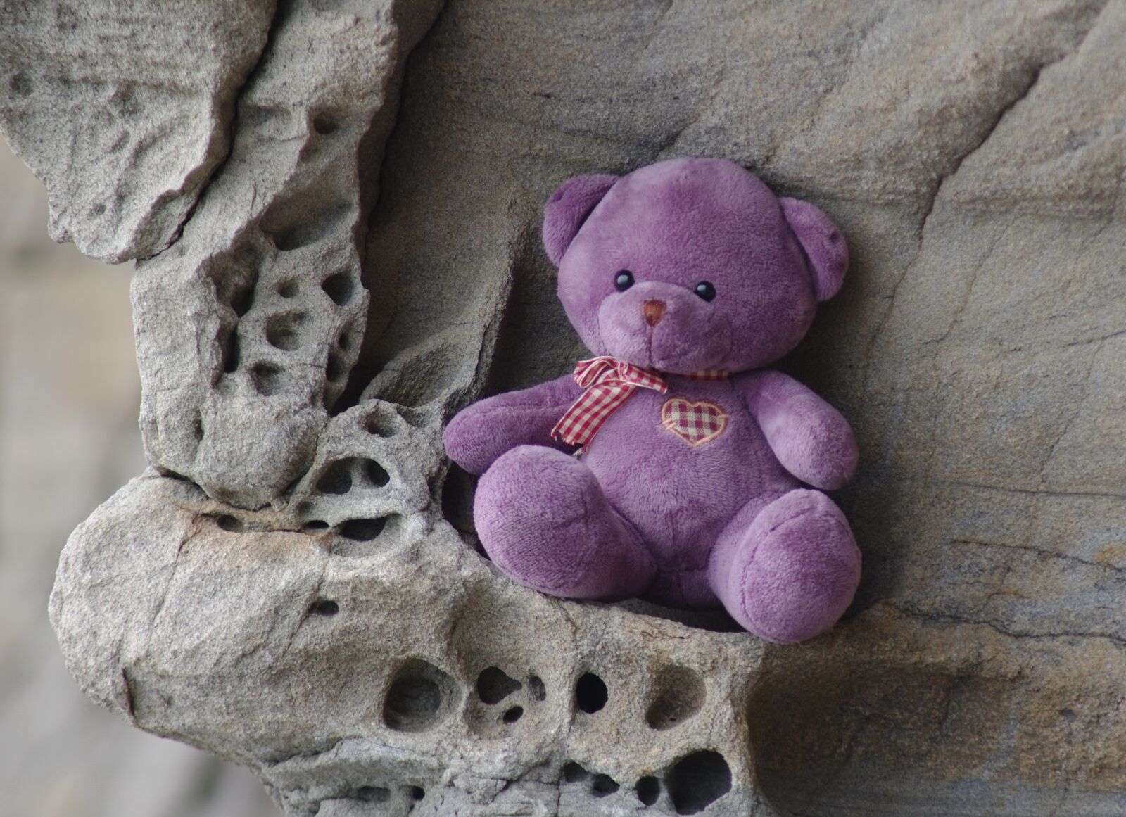 Pentax K-x sample photo. Teddy bear, birthday, expectation photography