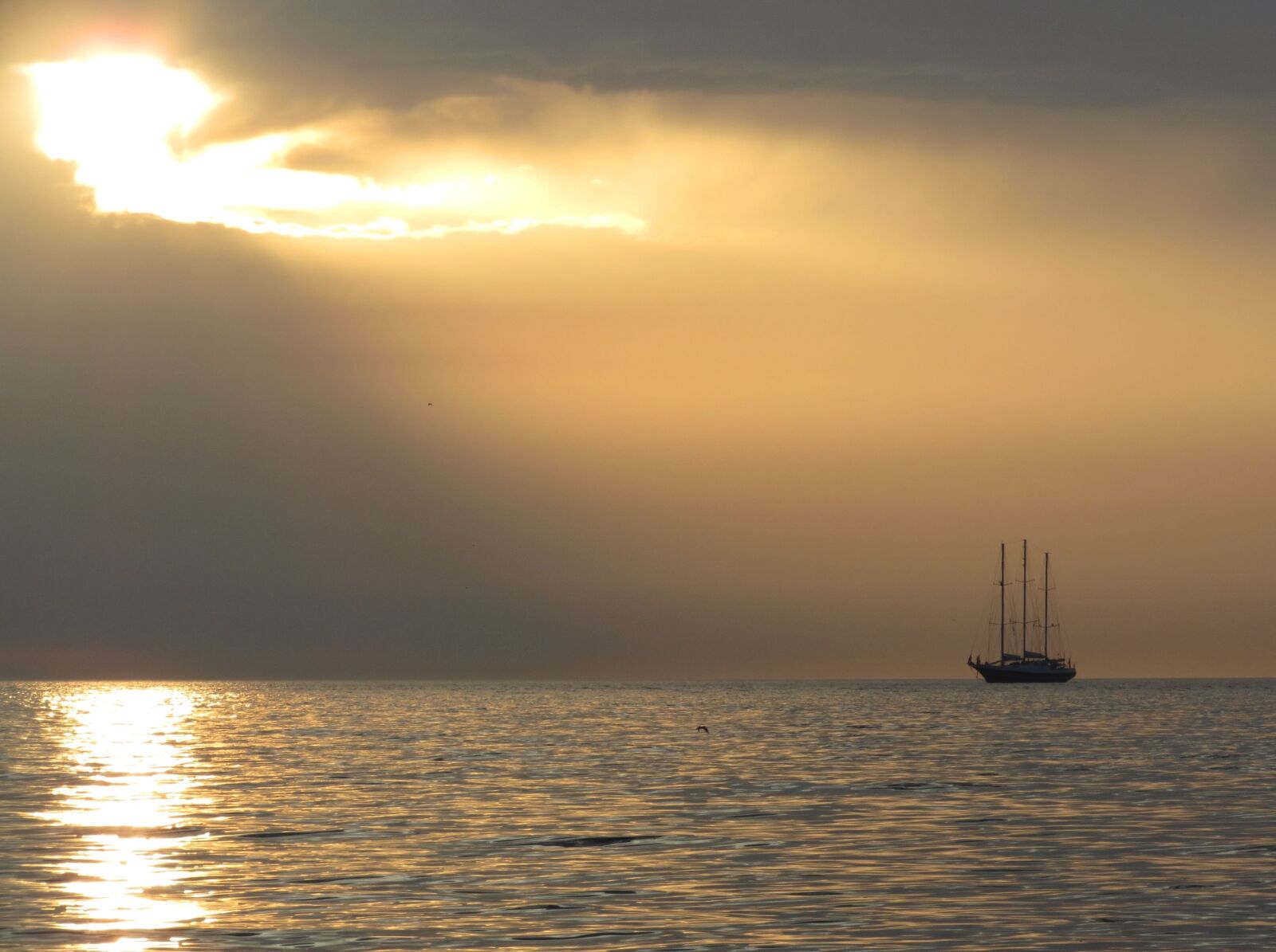 Canon PowerShot SX40 HS sample photo. Scheveningen, sunset, ship photography