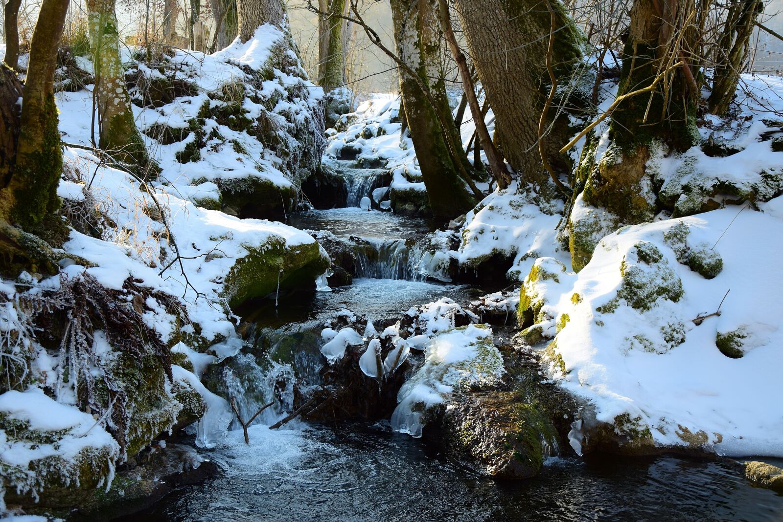 Nikon D5300 sample photo. Winter, water, ice photography
